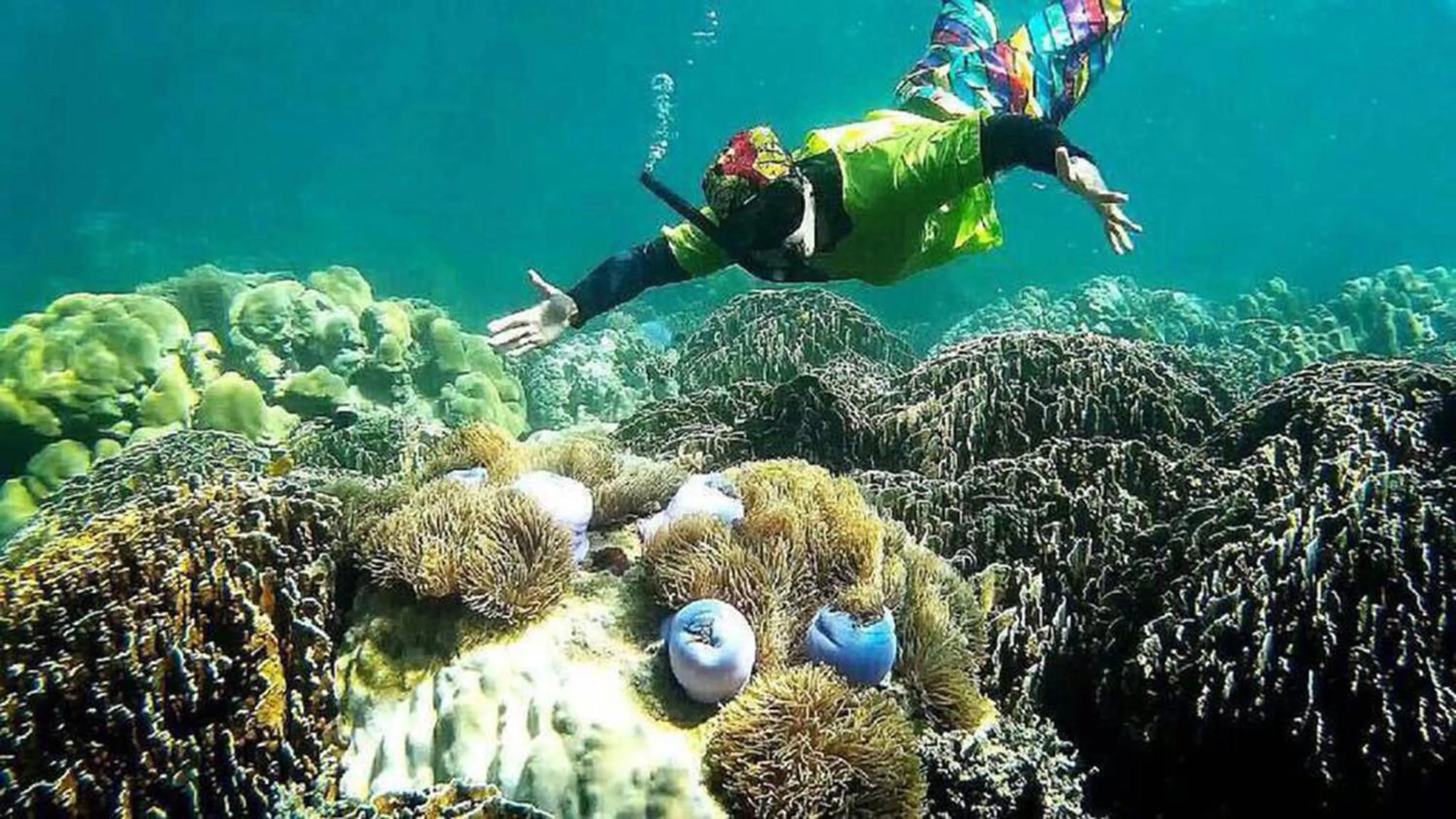 Snorkeling in Koh Jum Resort