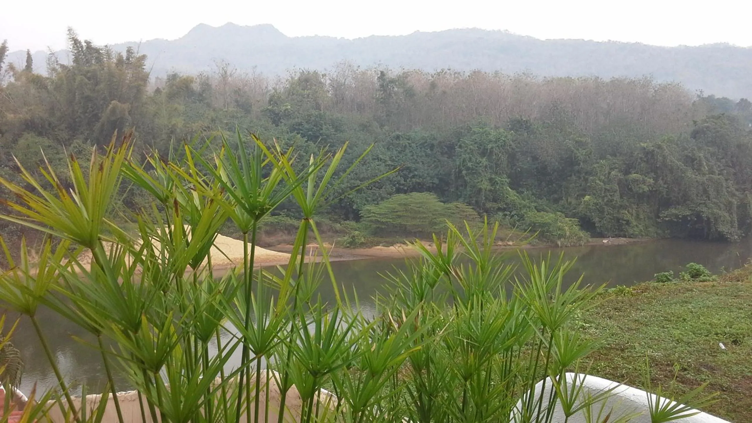 Natural landscape in Chasorn Riverside Resort