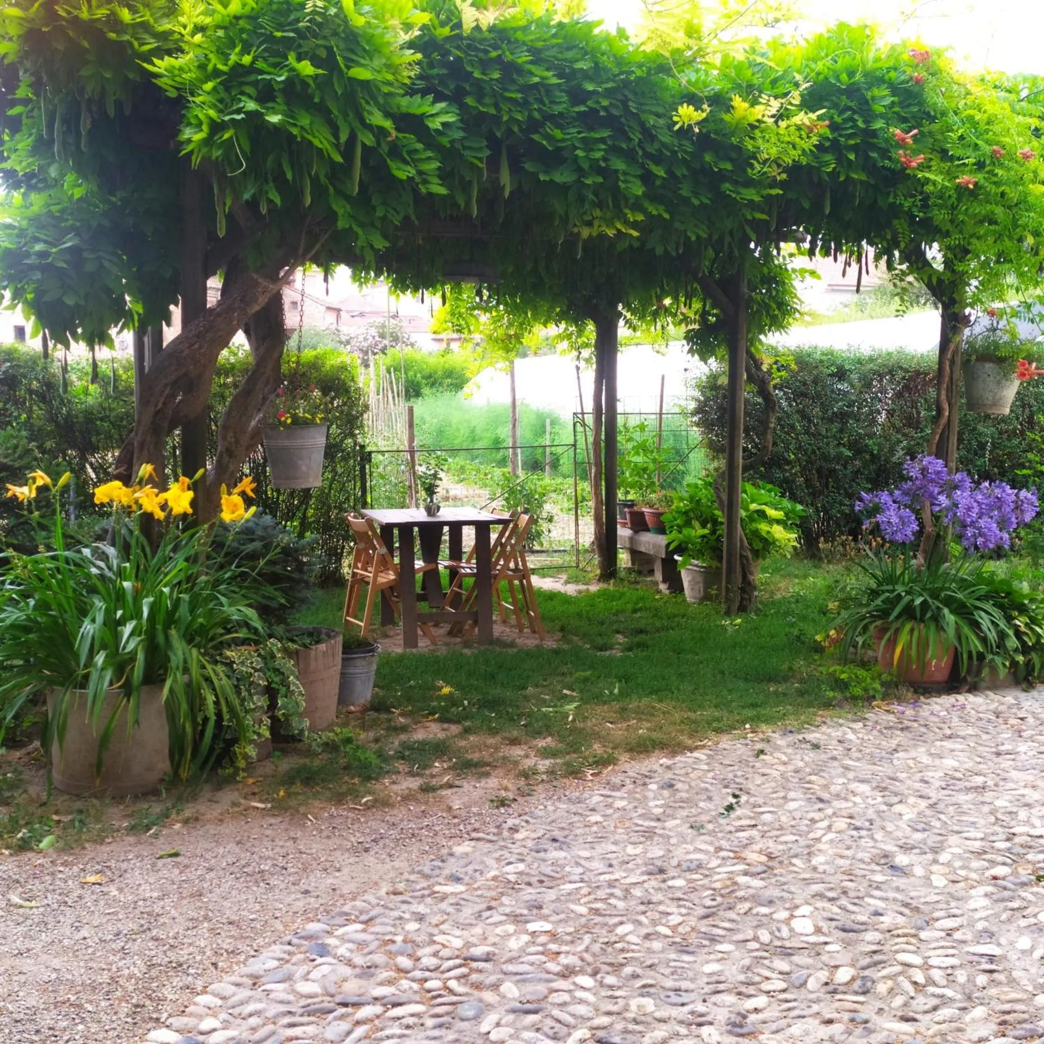 Garden in Il Germano Reale