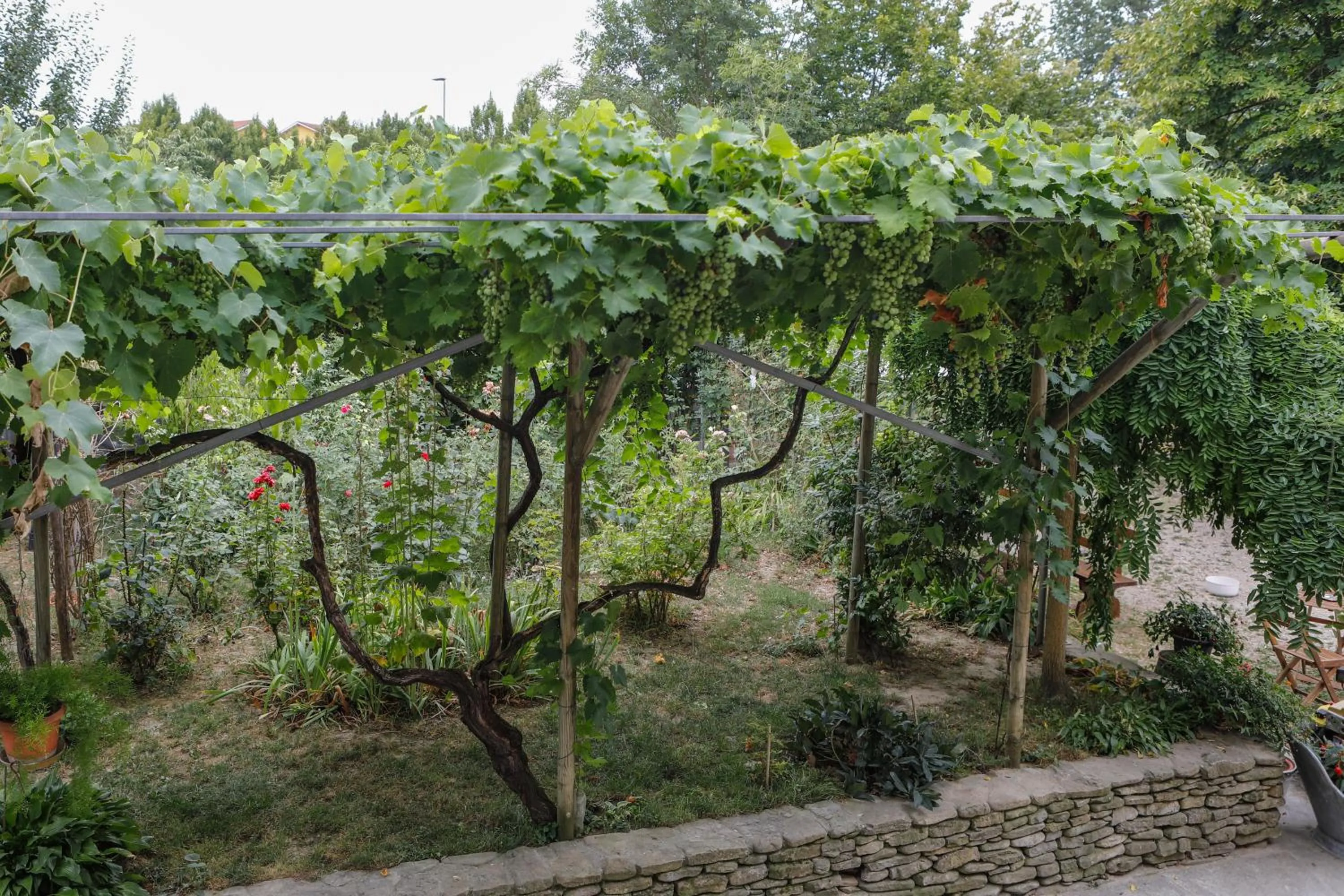 Garden in Il Germano Reale