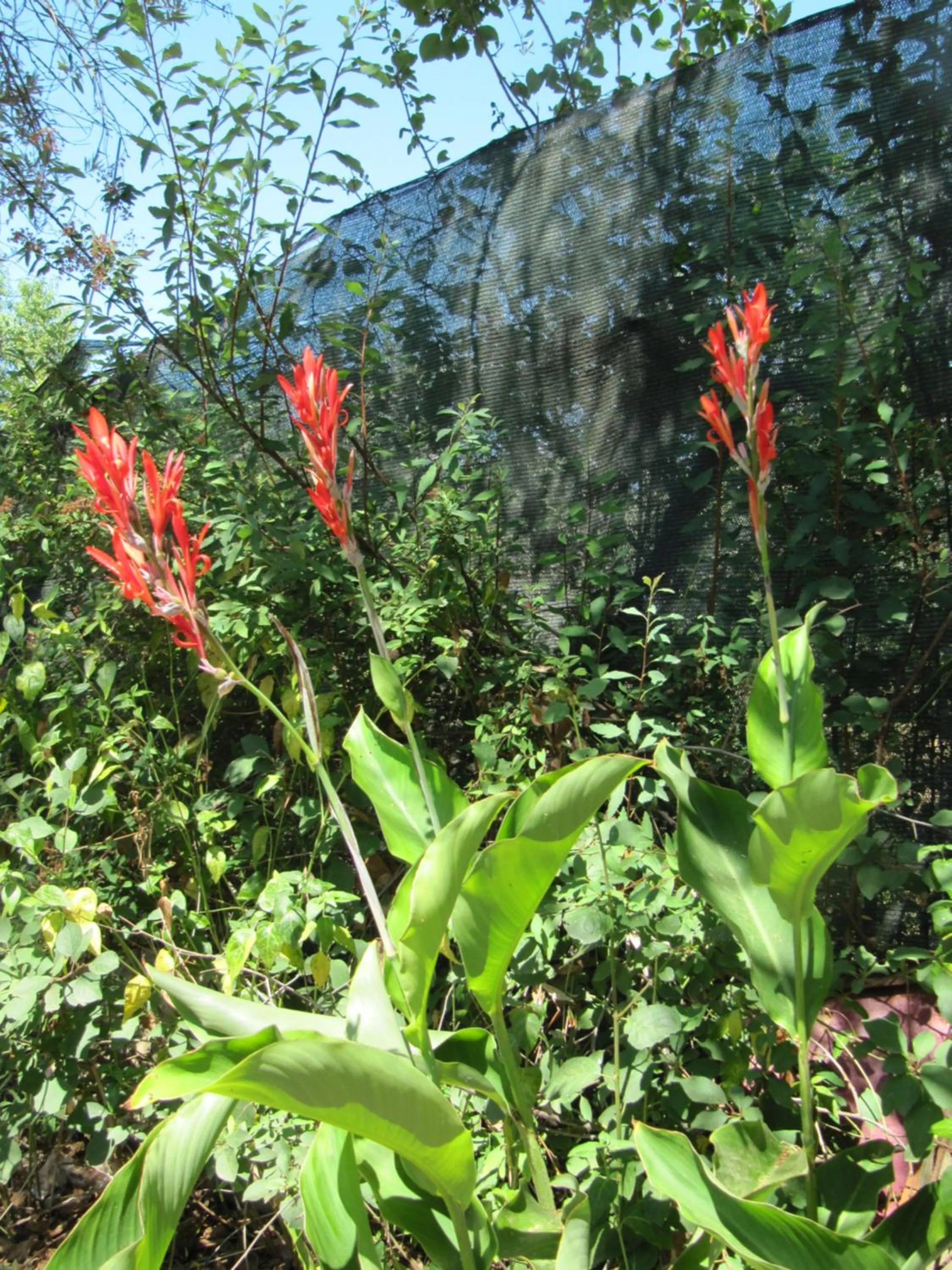 Property building in B&B I Limoni