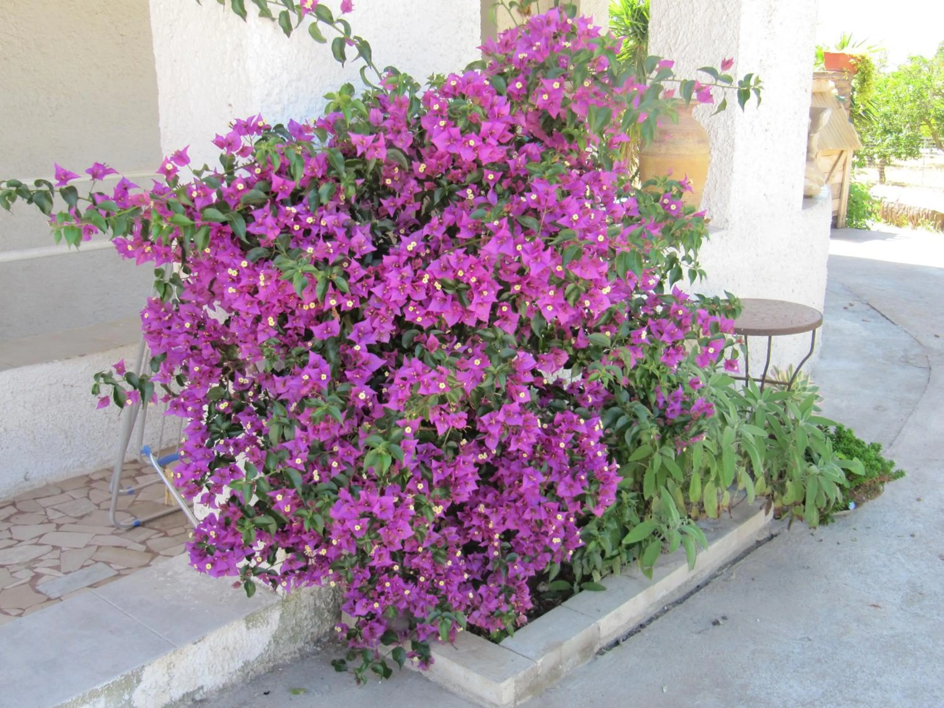 Property building in B&B I Limoni