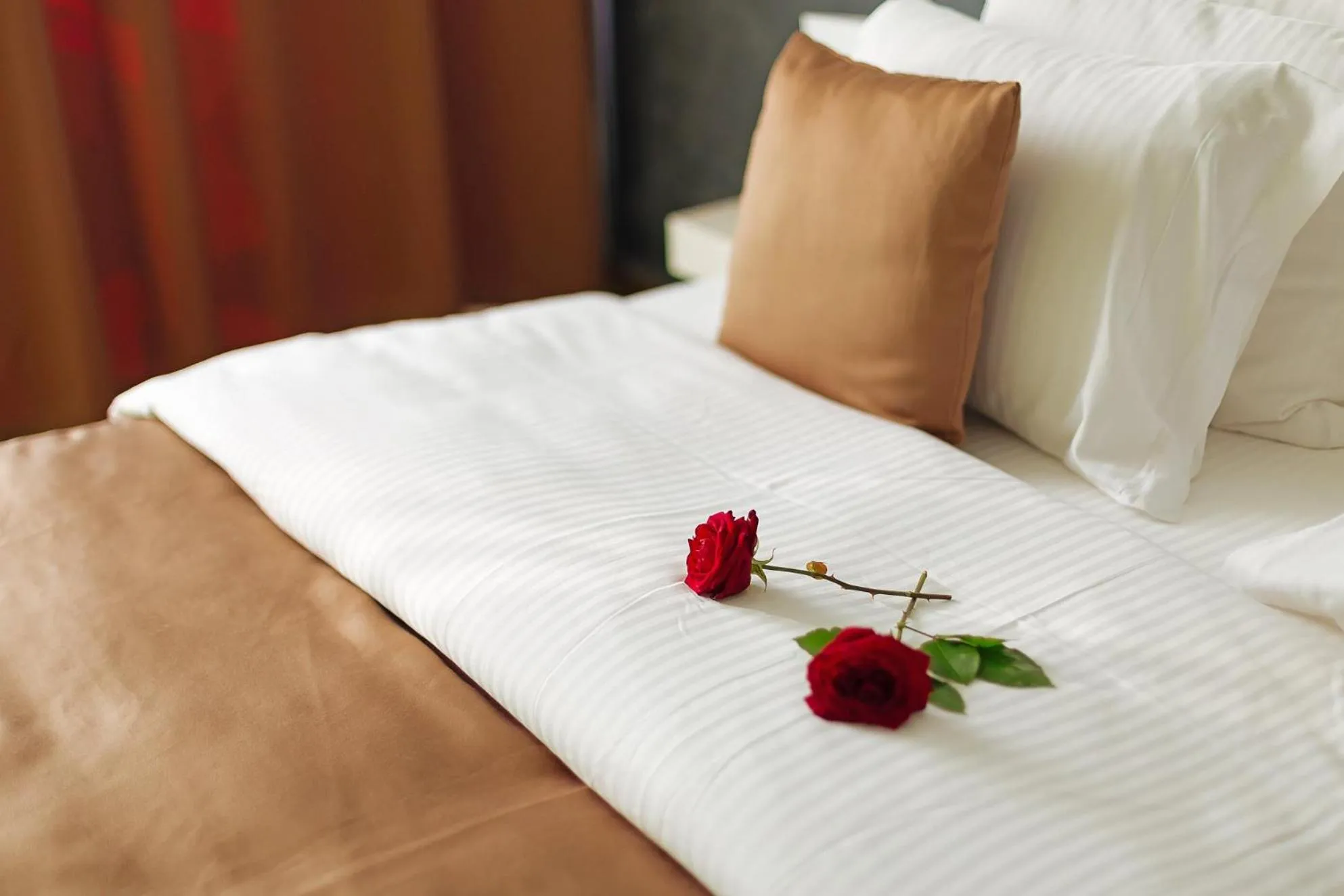 Bed in Horizont Hotel