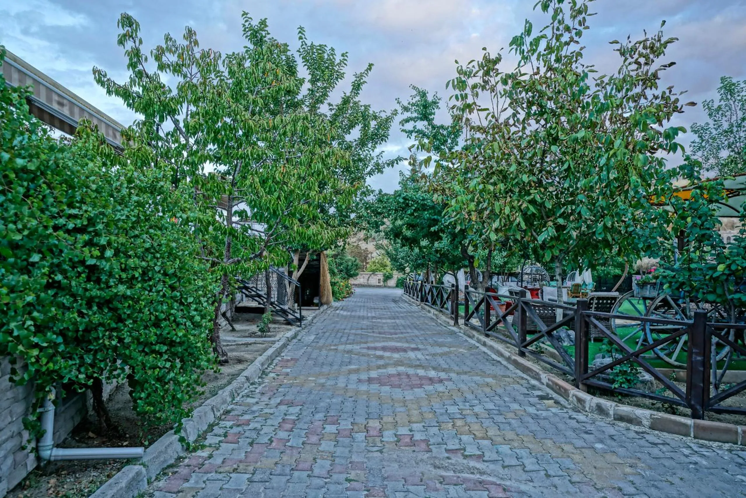 Spring in Holiday Cave Hotel