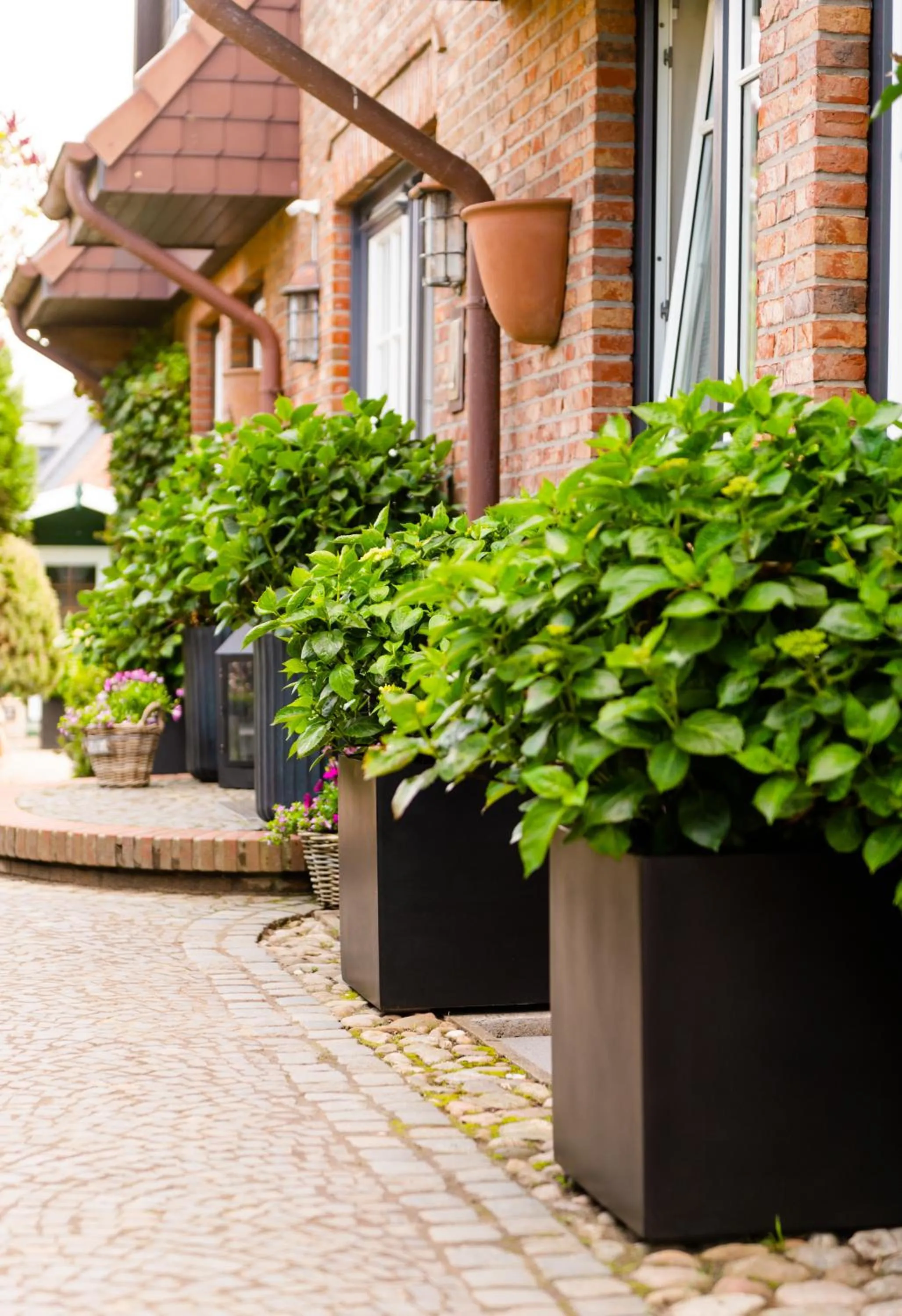 Facade/entrance in Jaumann's Südwind Sylt