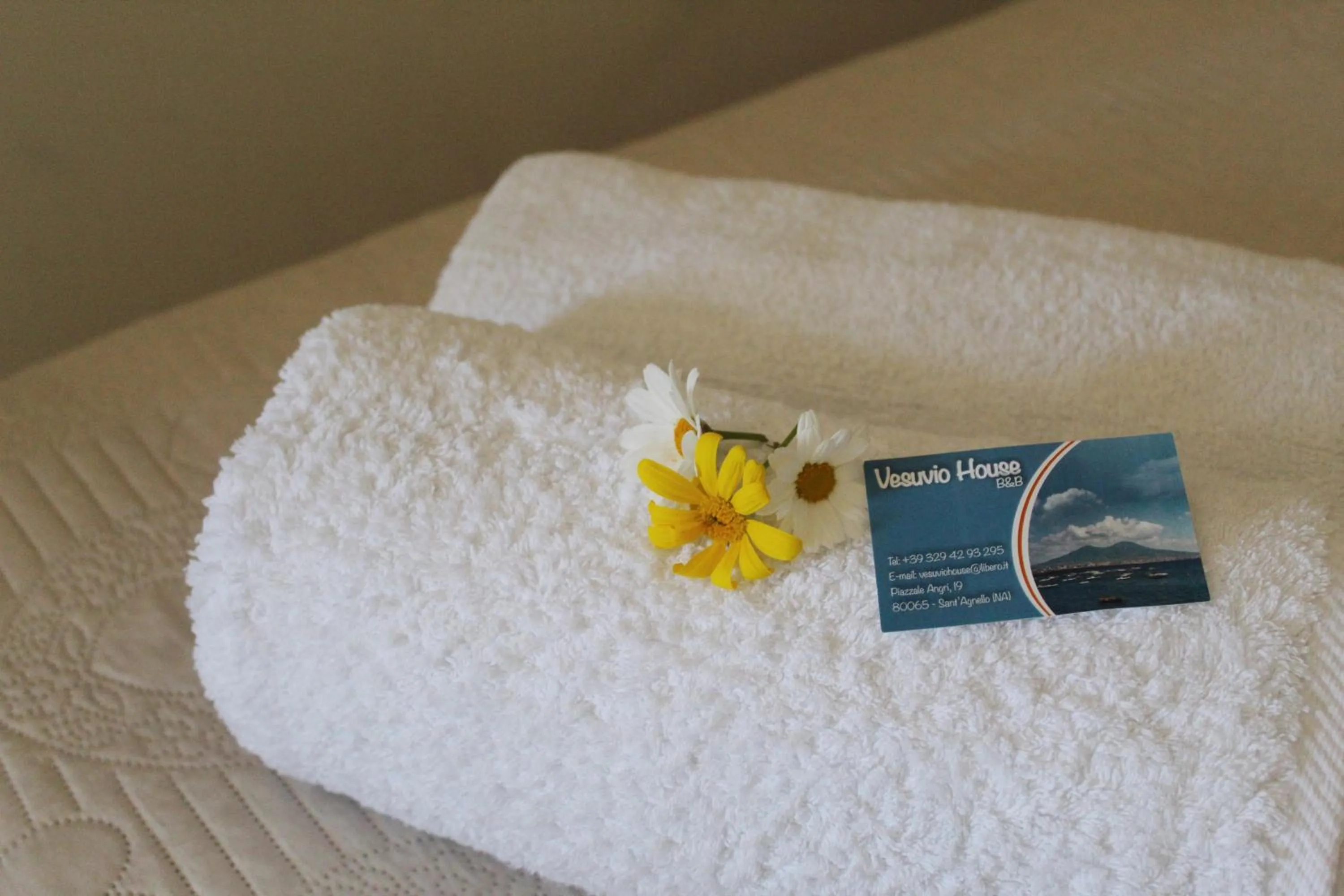 Bed in Vesuvio House appartamento indipendente e centrale