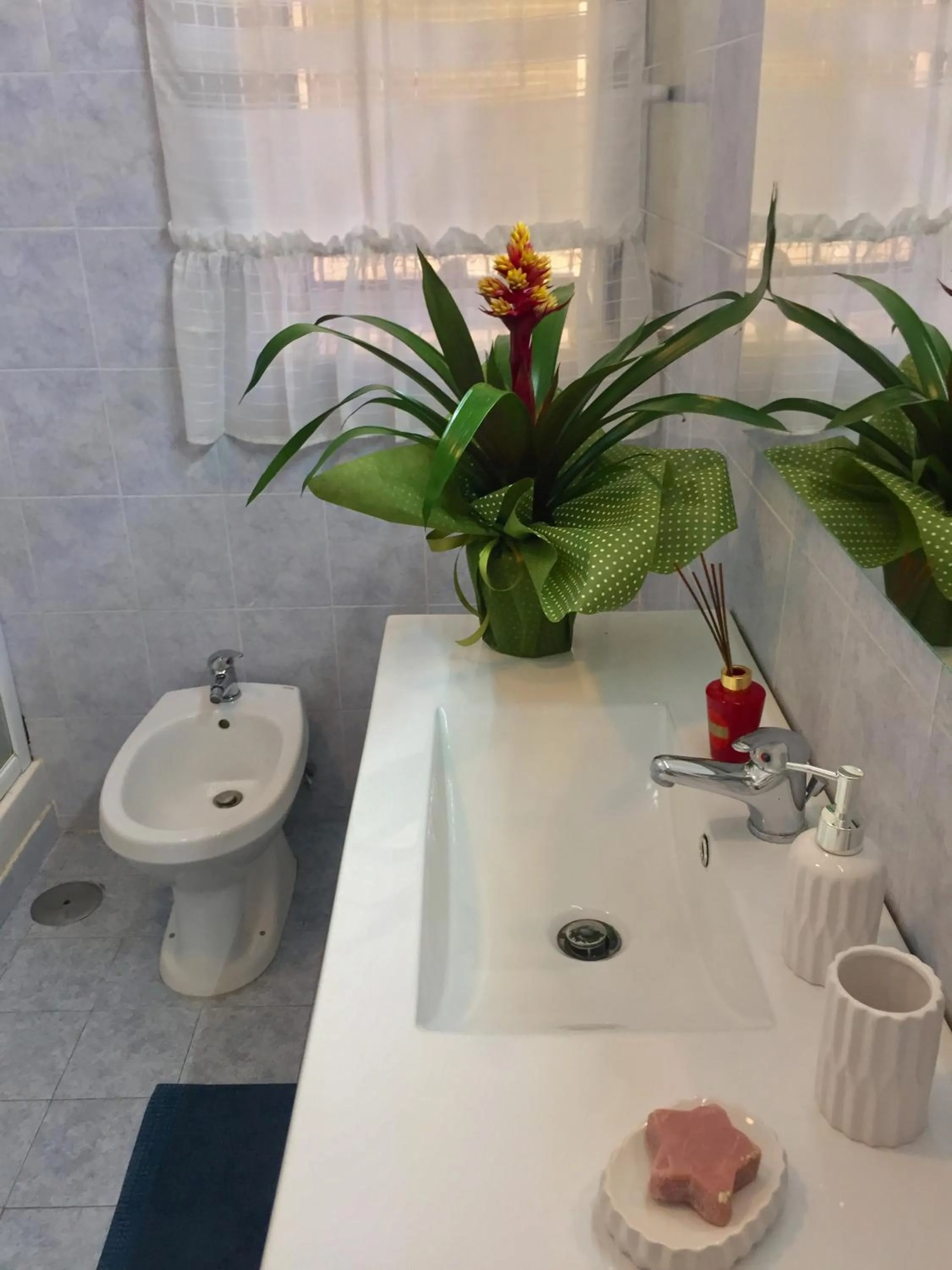 Vesuvio House appartamento indipendente e centrale