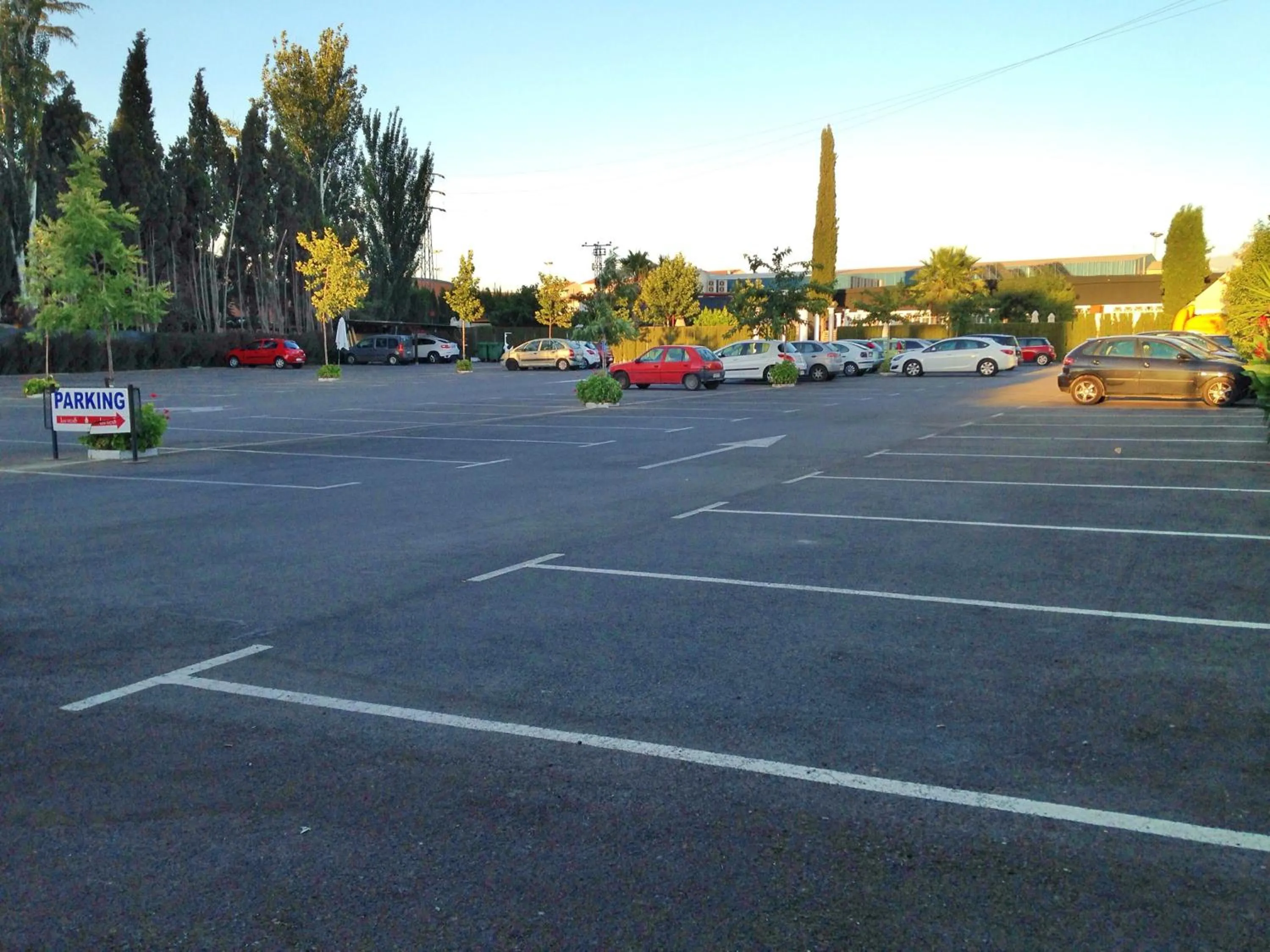 Area and facilities in Hotel Las Yucas