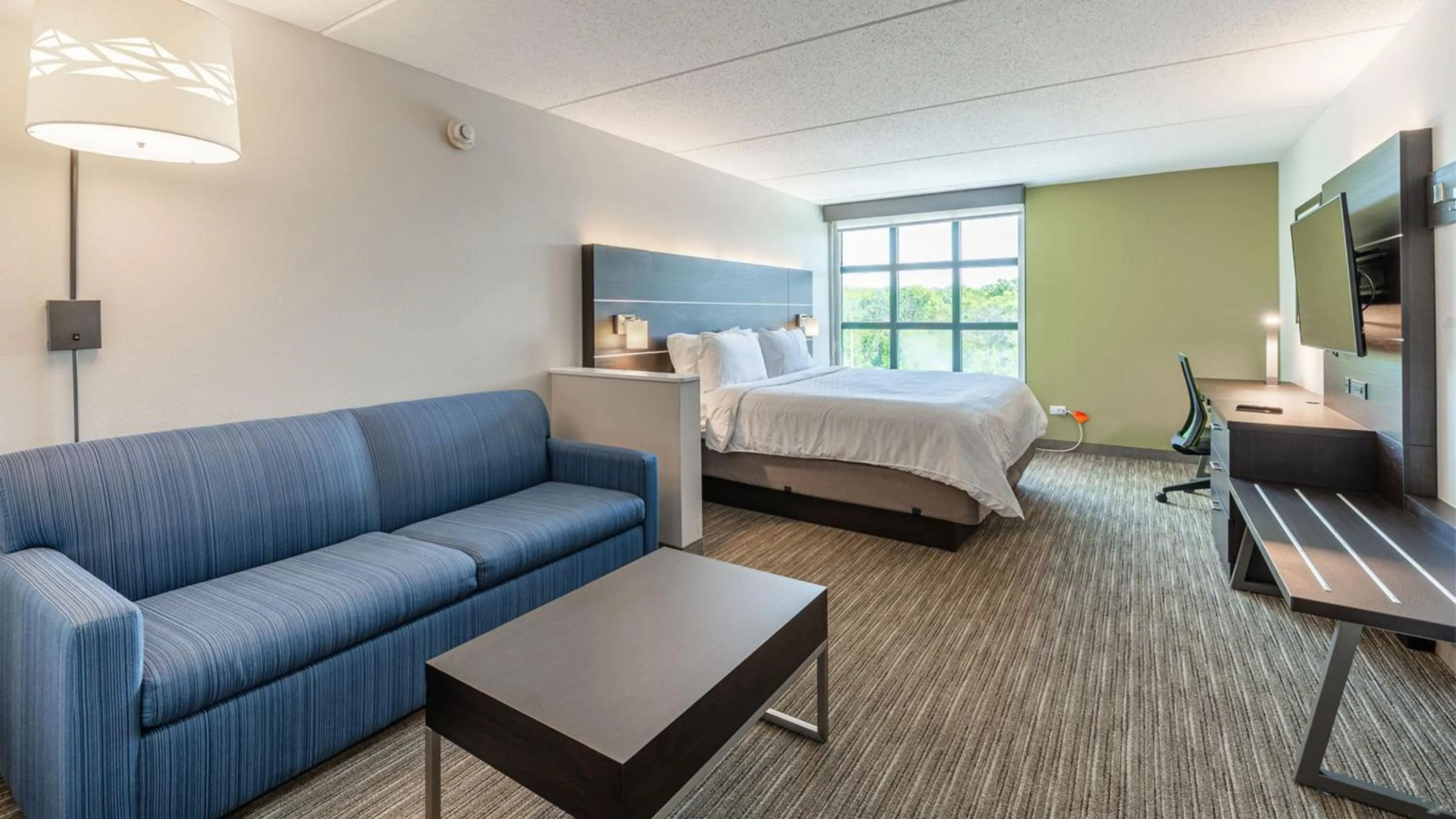 Photo of the whole room, Bed in Holiday Inn Express & Suites - Prospect Heights by IHG