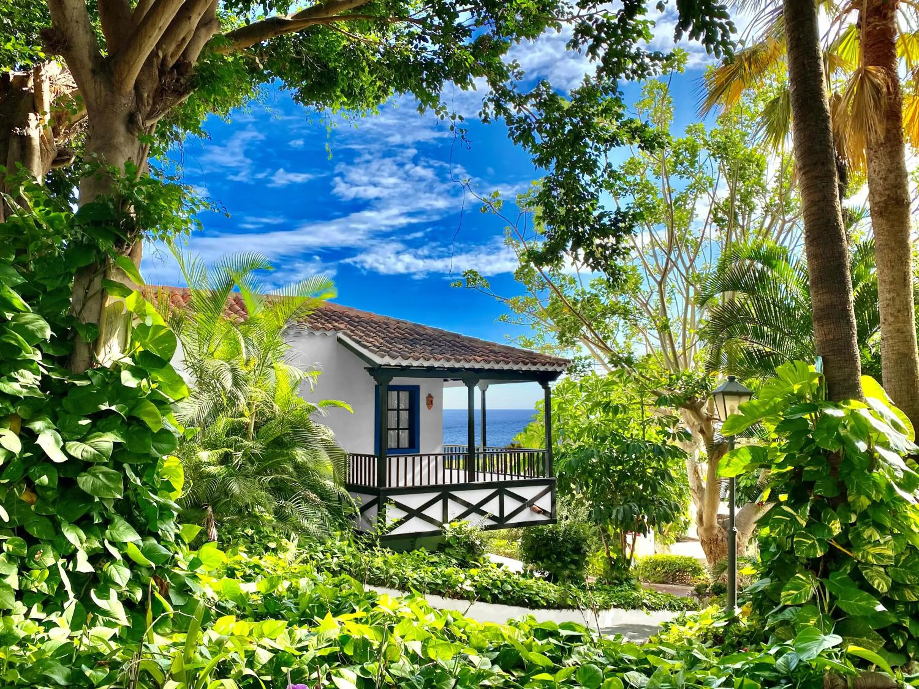 Garden in Hotel Jardín Tecina