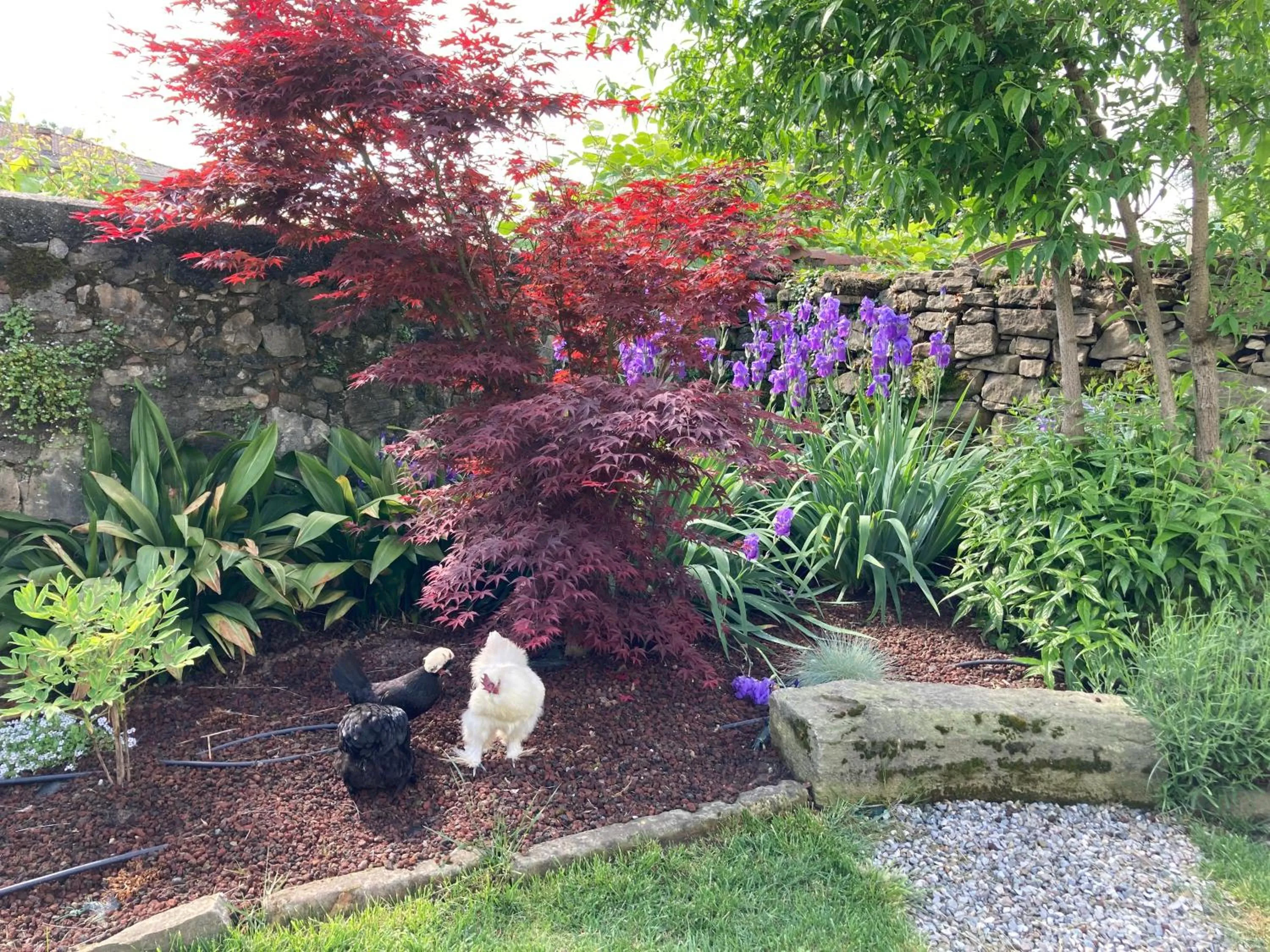 Garden in B&B Corte Seguini