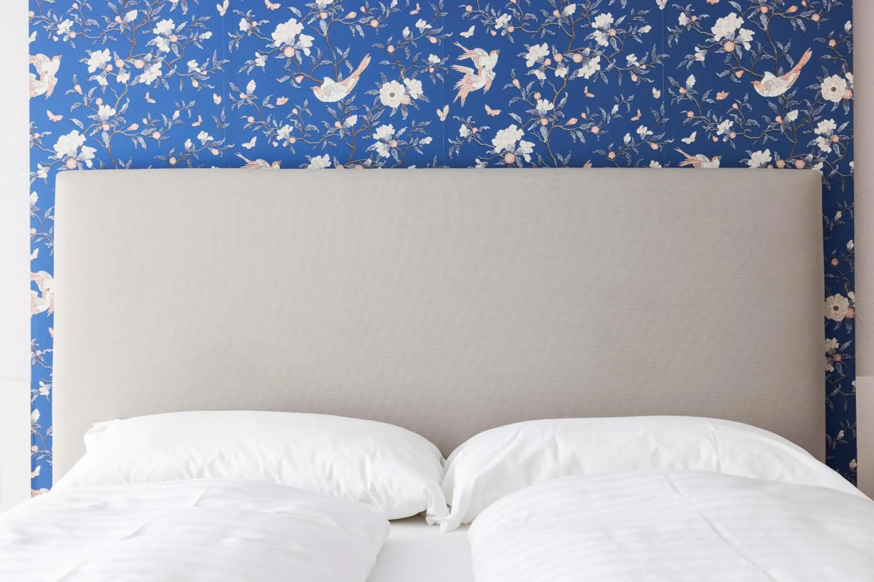 Standard Double Room in Rotonda Standard Double Room in Rotonda