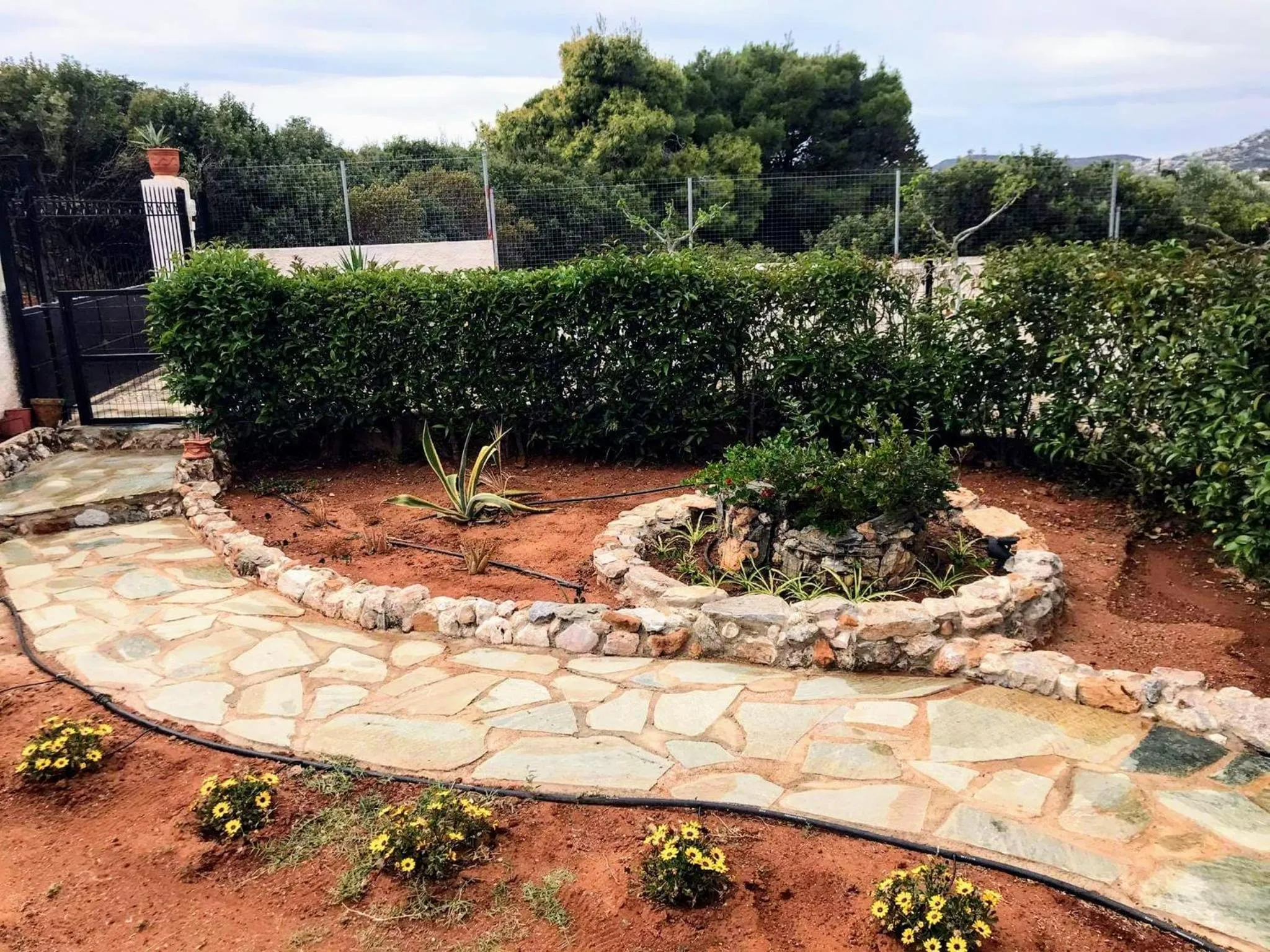 Day in Angelina's Home