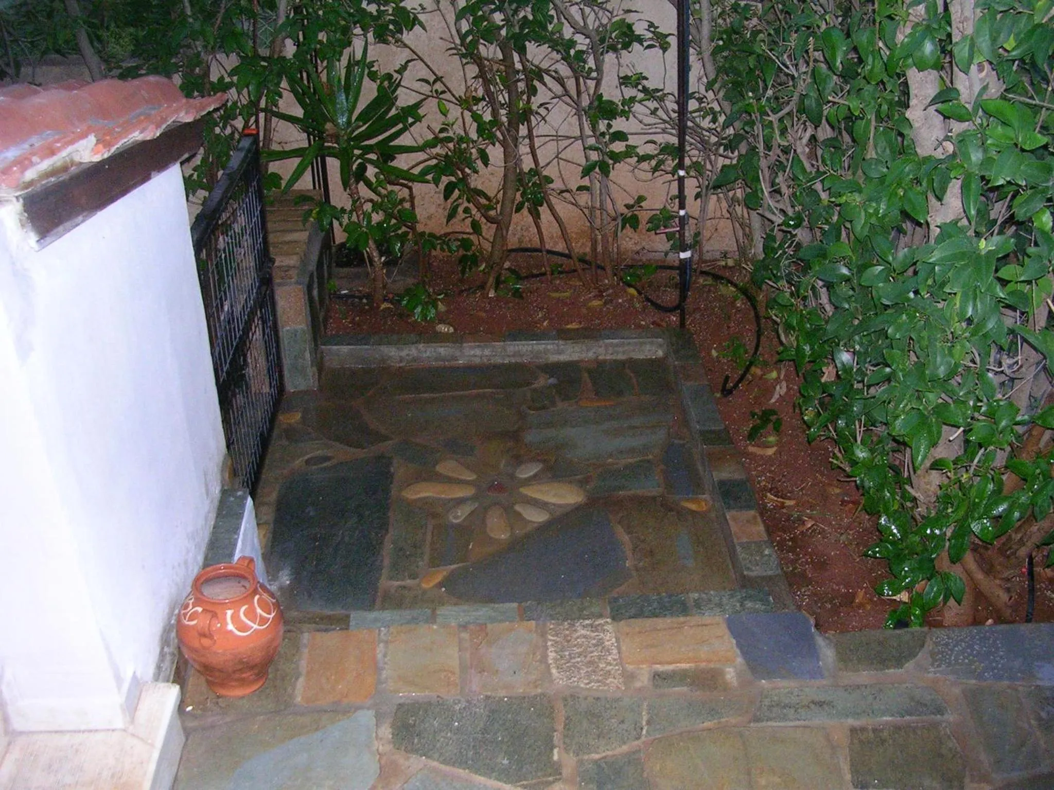 Garden in Angelina's Home