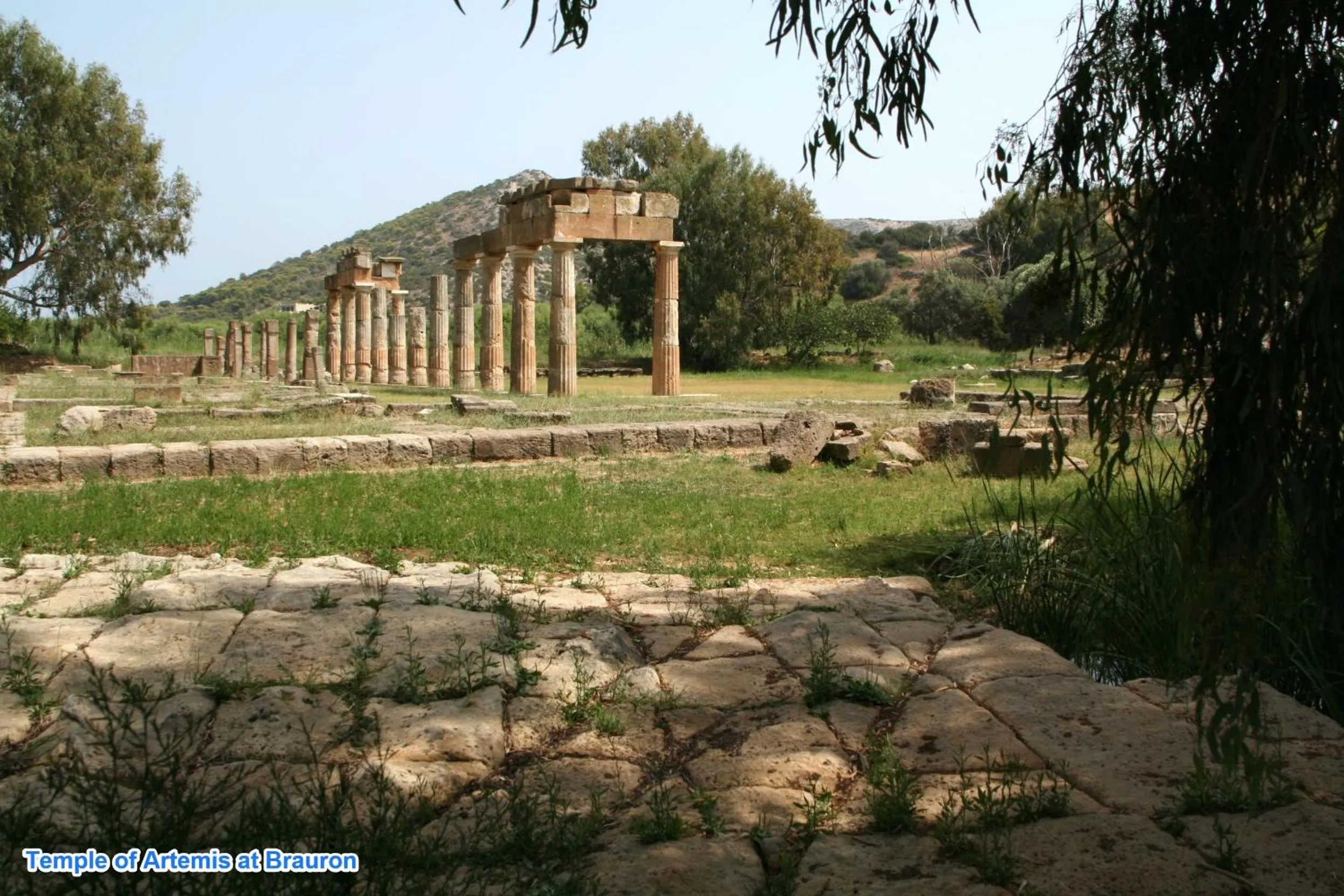 Nearby landmark in Angelina's Home