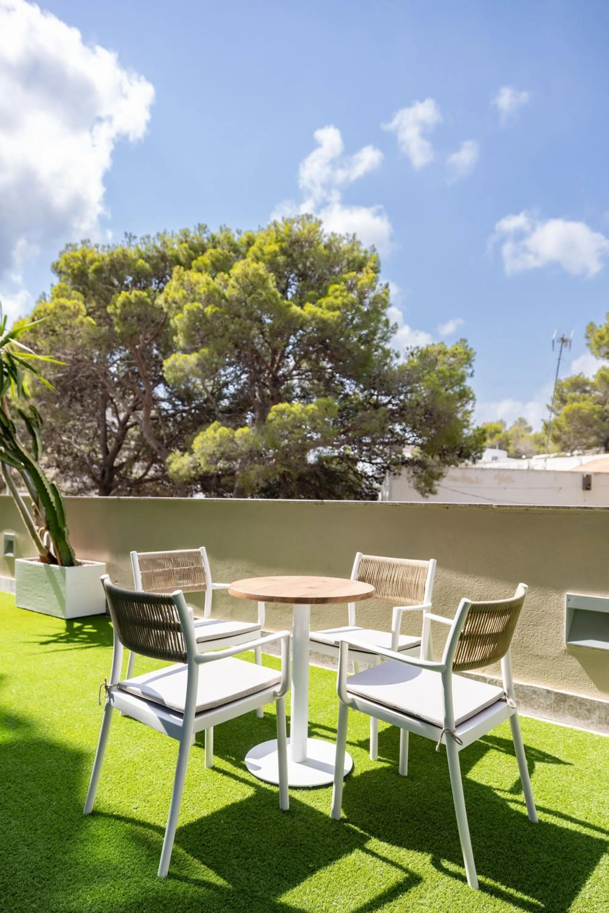 Garden in Cullera Holiday