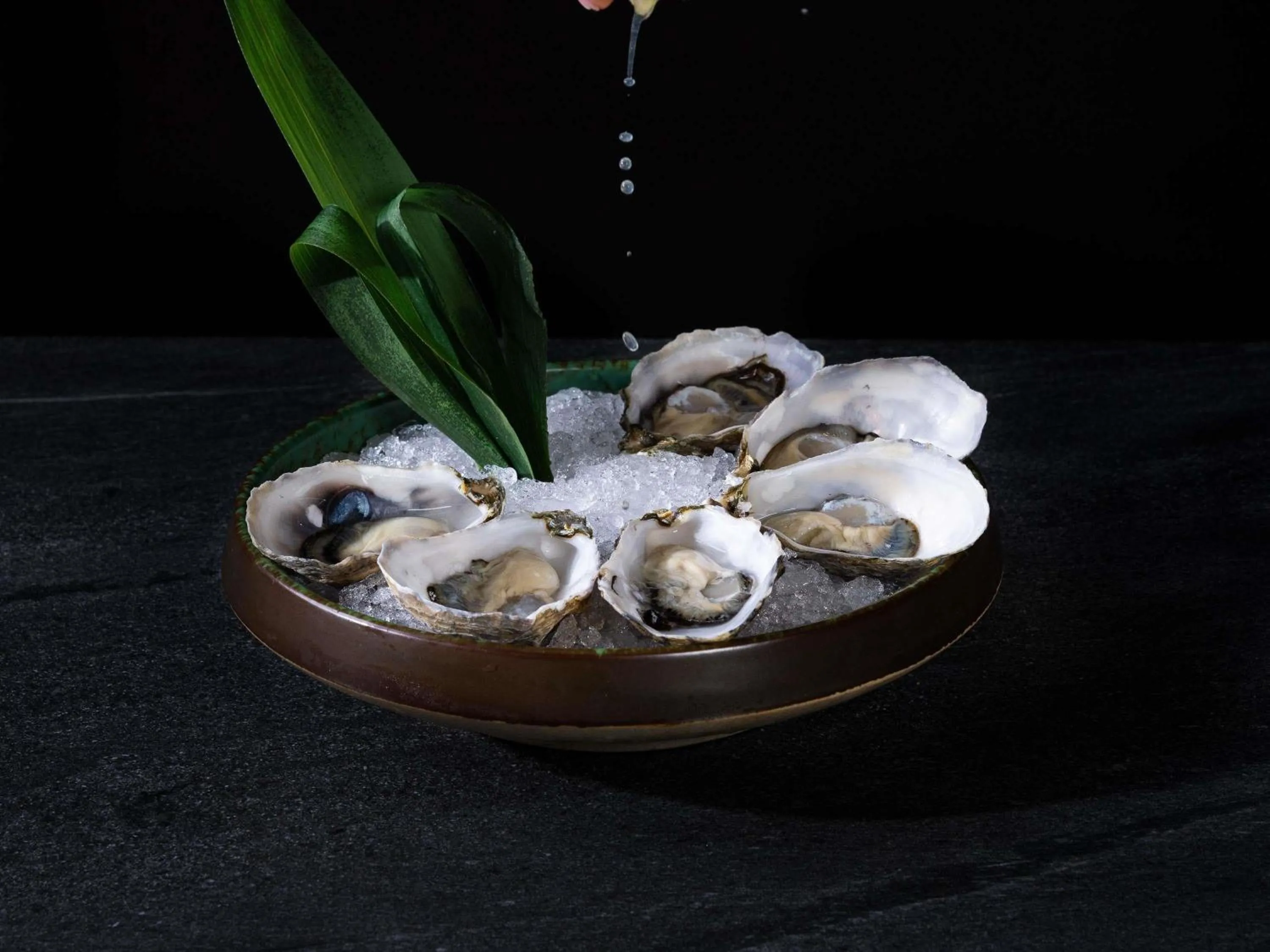 Lounge or bar in Fairmont Pacific Rim