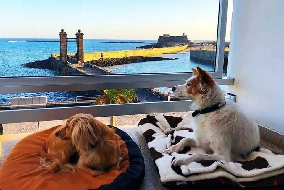 Property building in Hotel Miramar