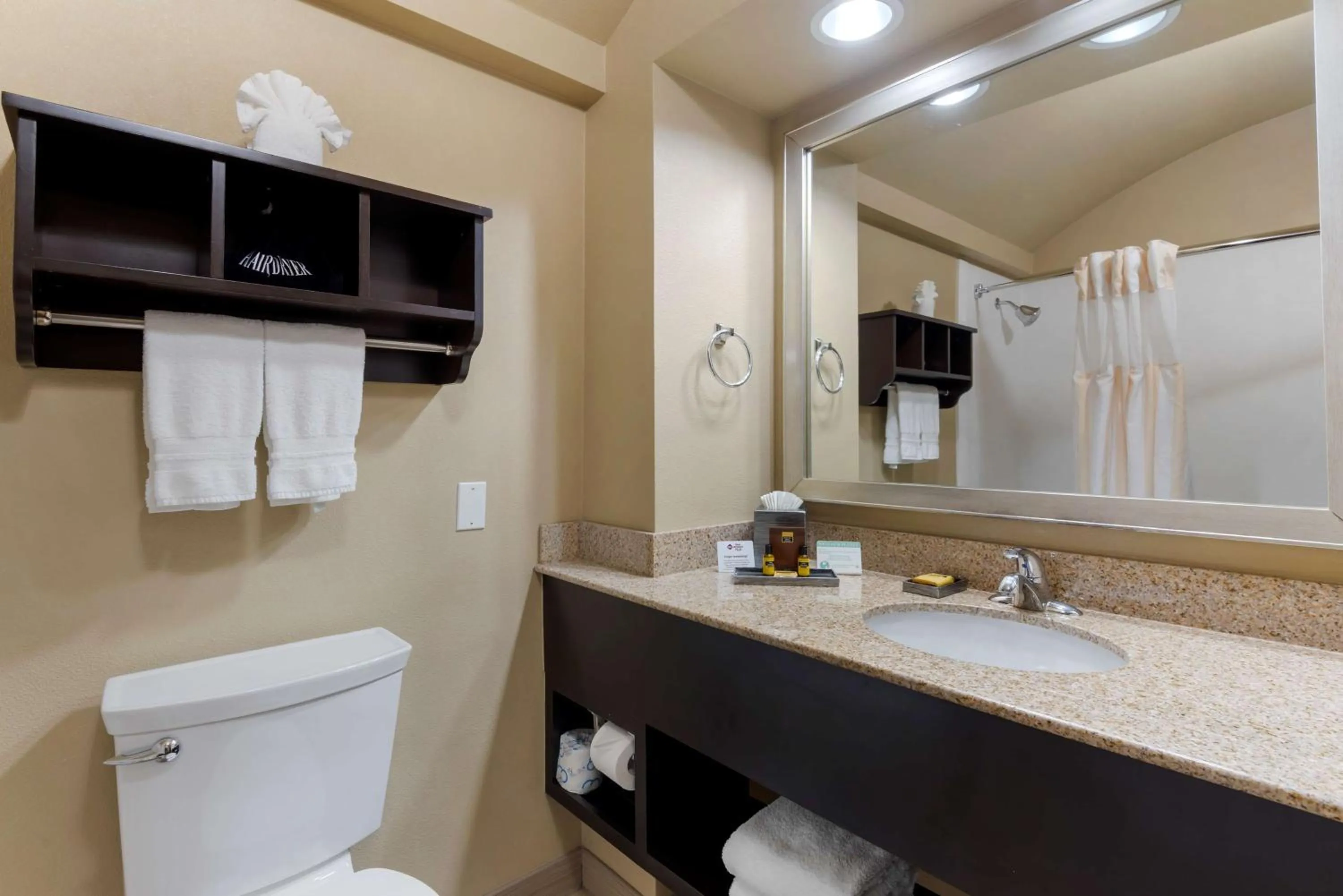 Bathroom in Best Western Plus Arlington North Hotel & Suites