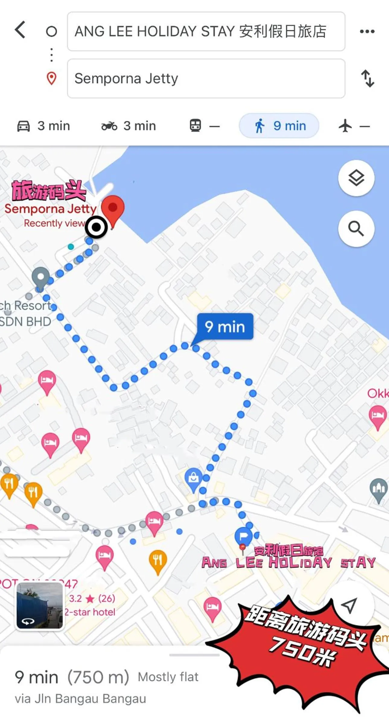 Ang Lee Holiday Stay