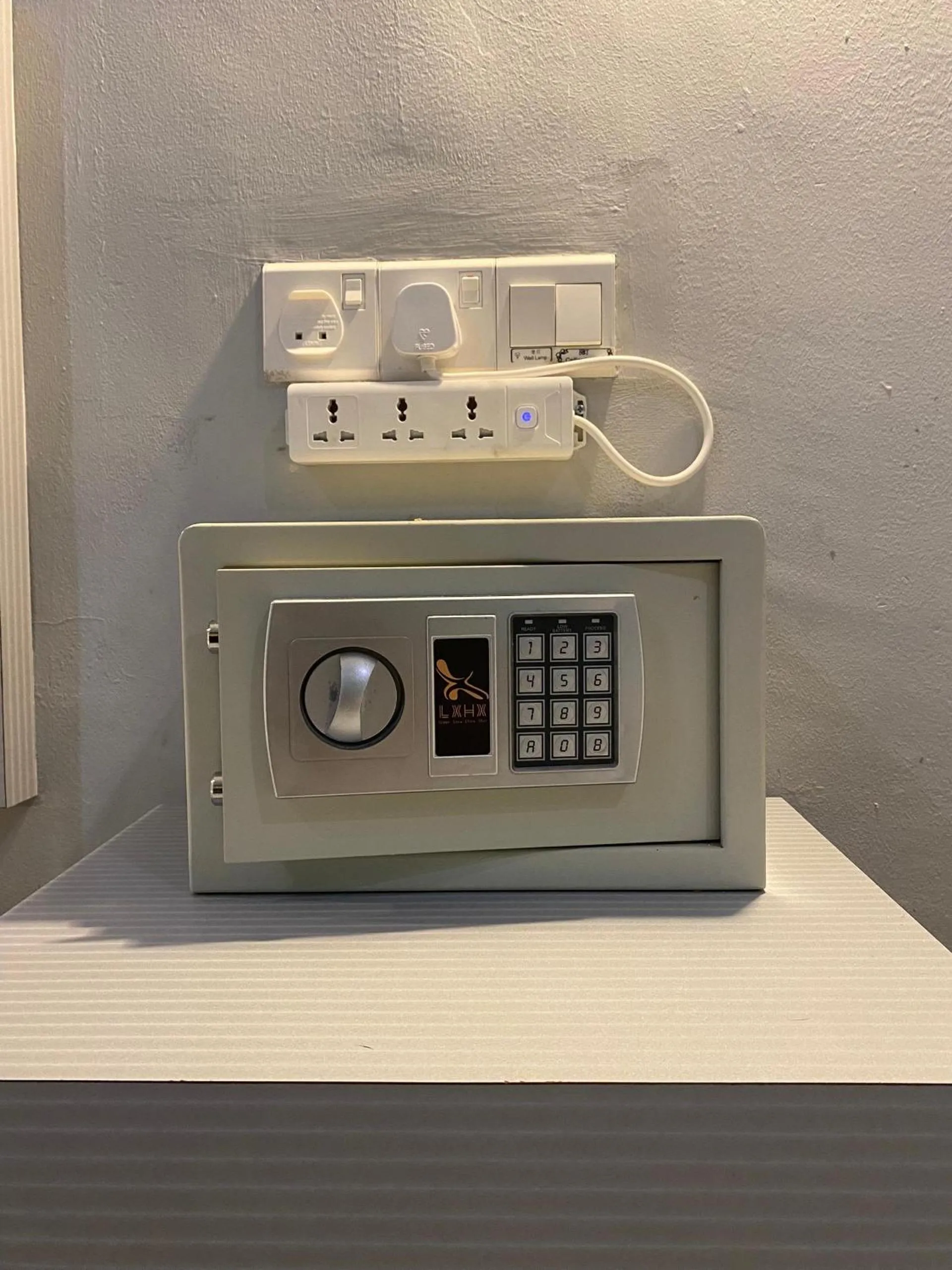 Ang Lee Holiday Stay