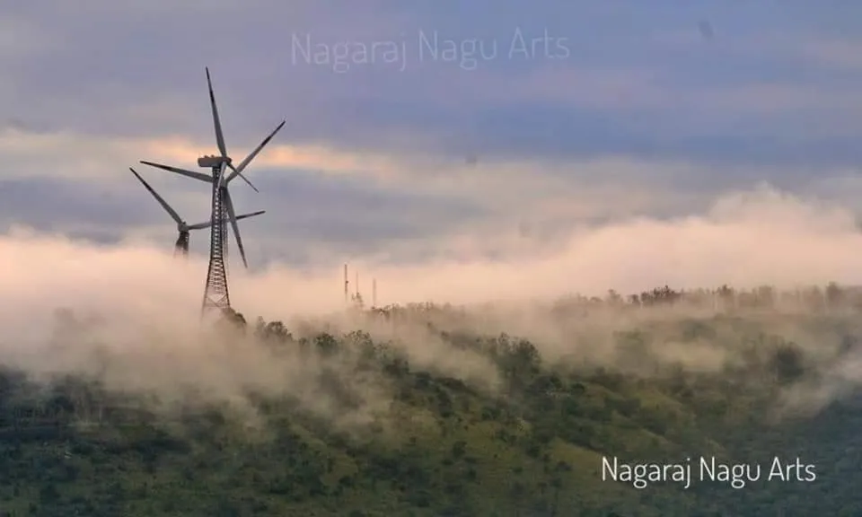 Hotel Ravi Mayur International