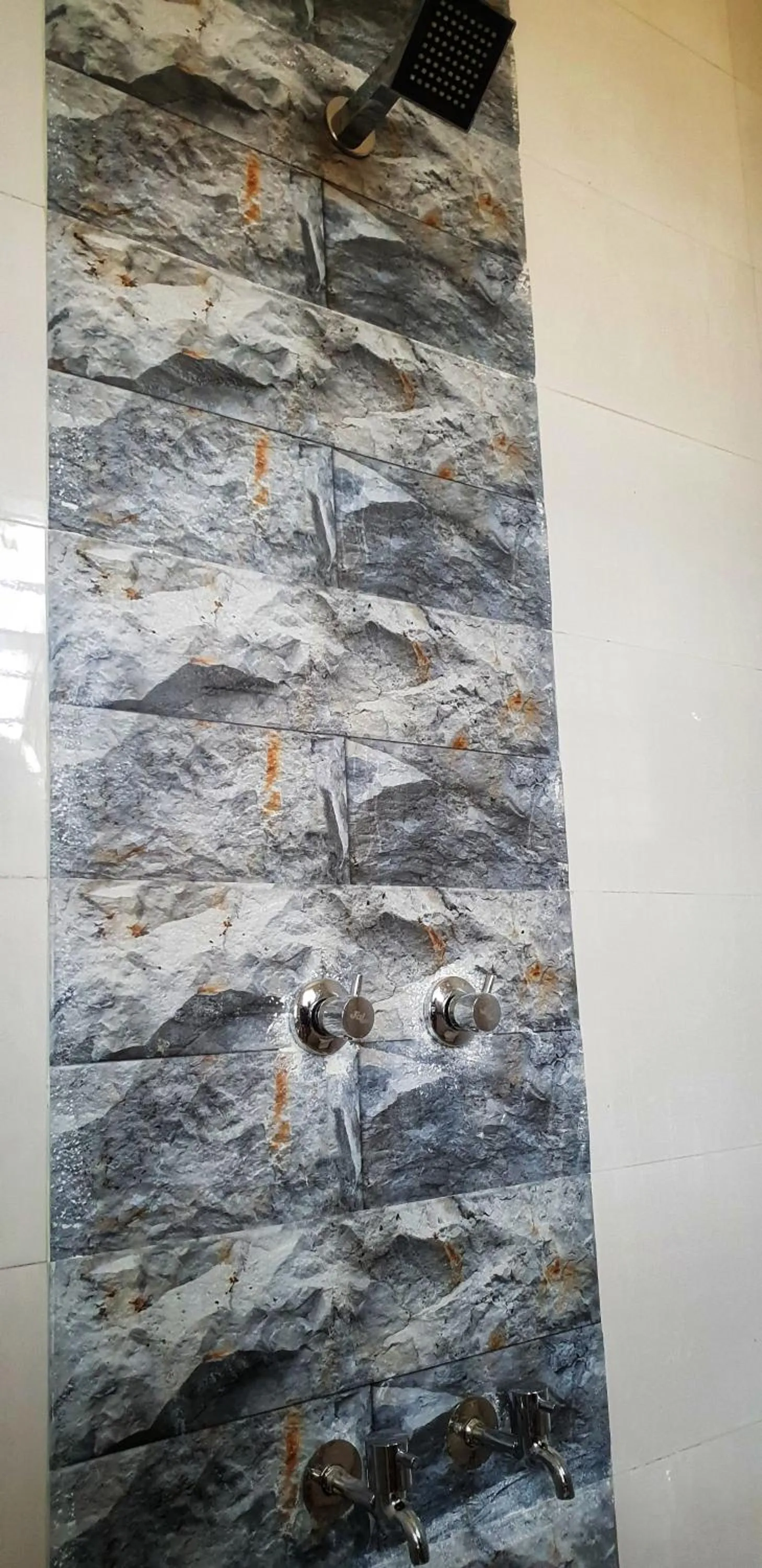 Hotel Ravi Mayur International