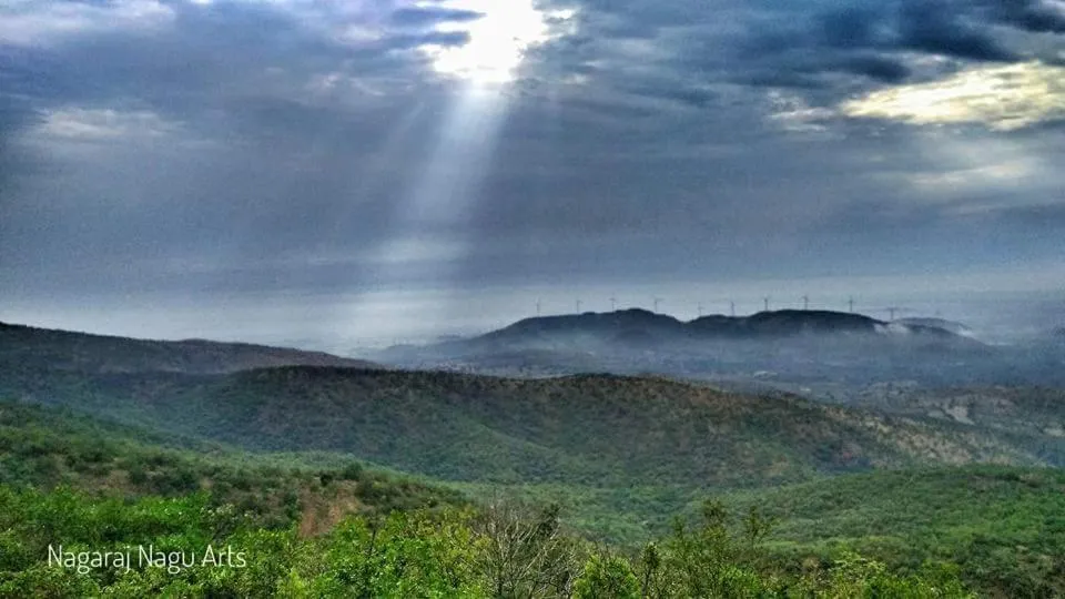 Hotel Ravi Mayur International