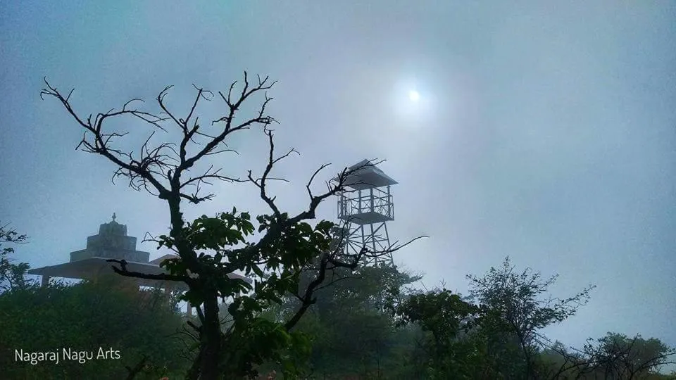 Hotel Ravi Mayur International