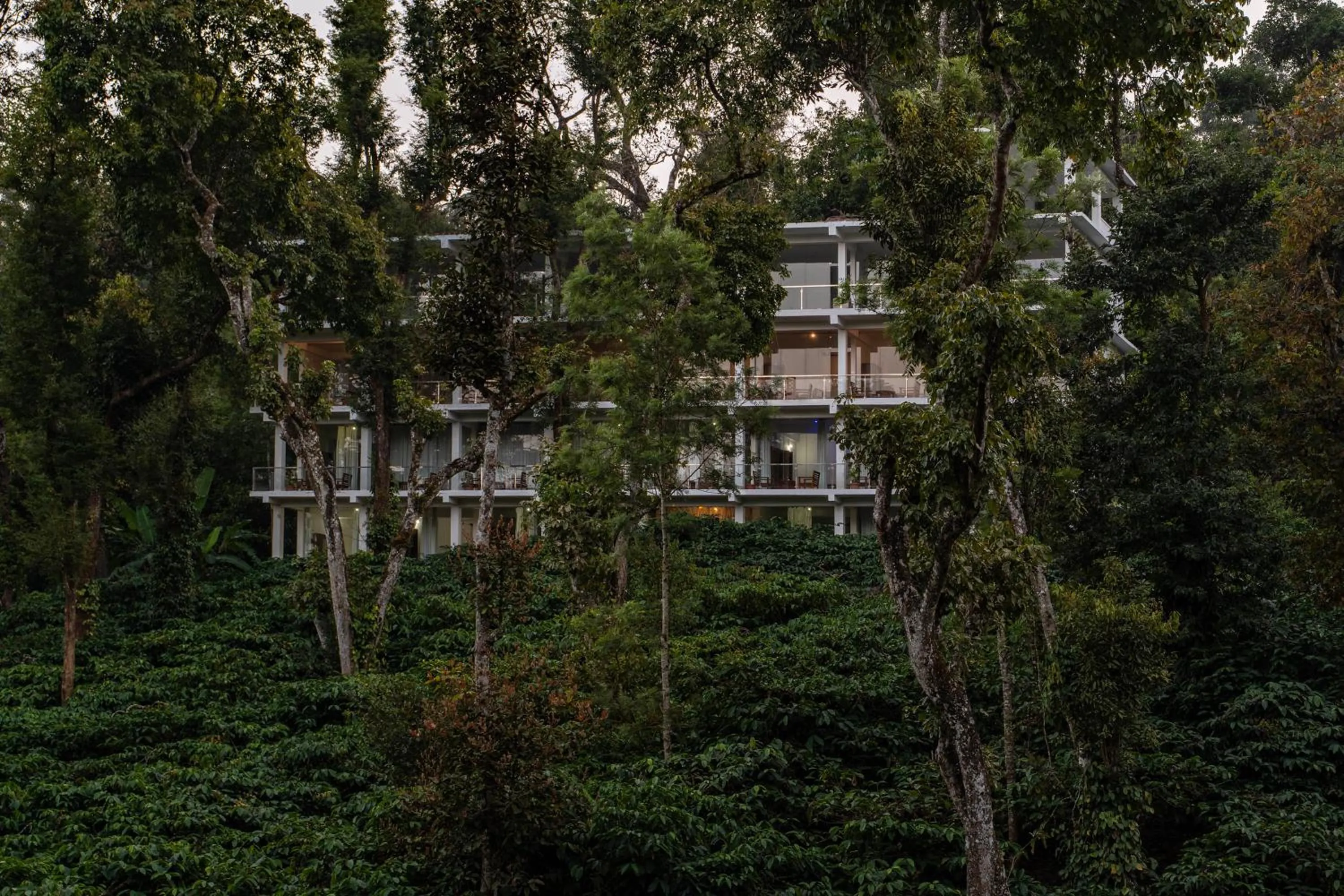 Property building in Itsy Hotels Jammabane Cottage, 5 Minutes To Mountain View Coffee Plantation