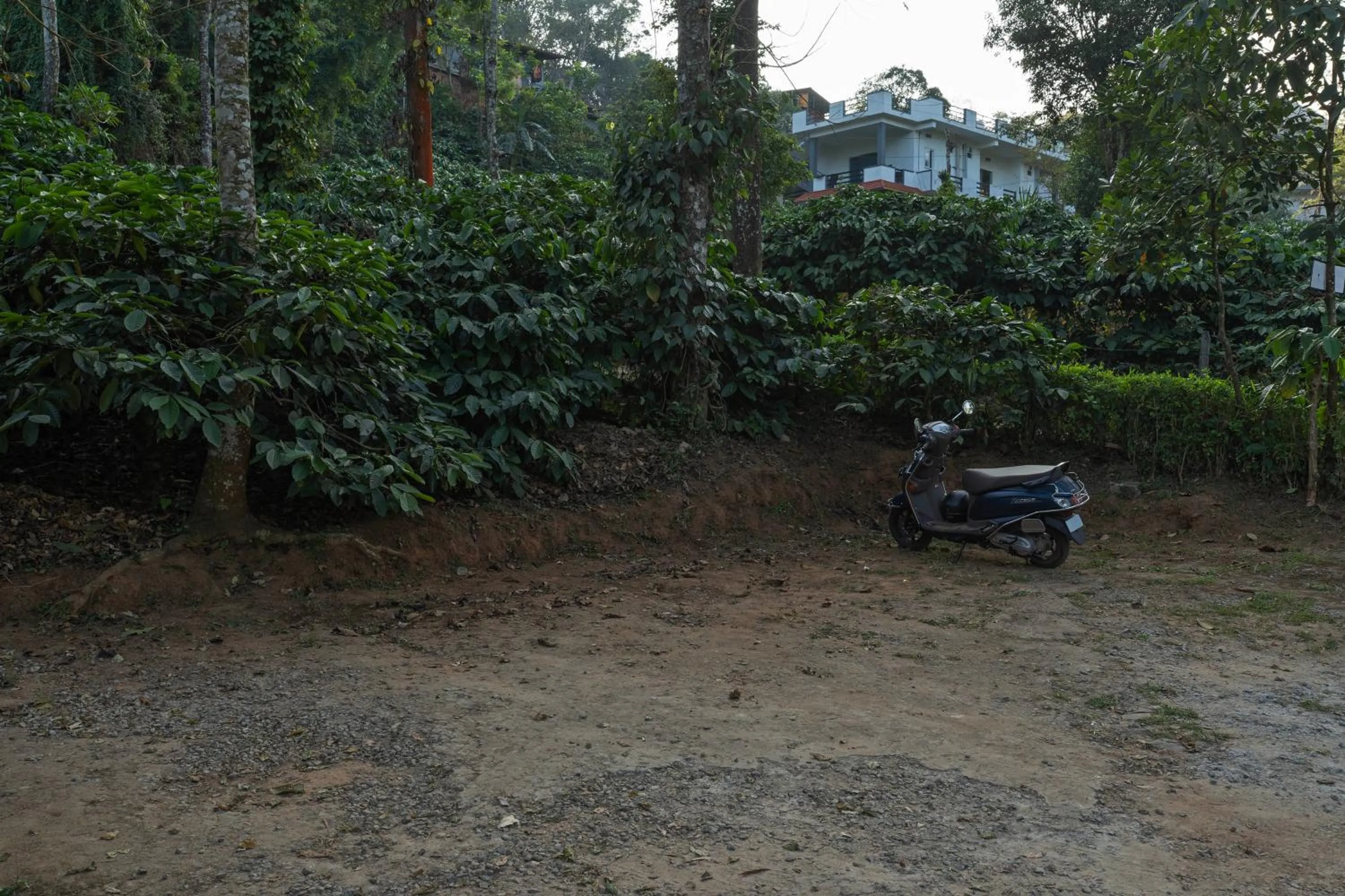 Parking in Itsy Hotels Jammabane Cottage, 5 Minutes To Mountain View Coffee Plantation