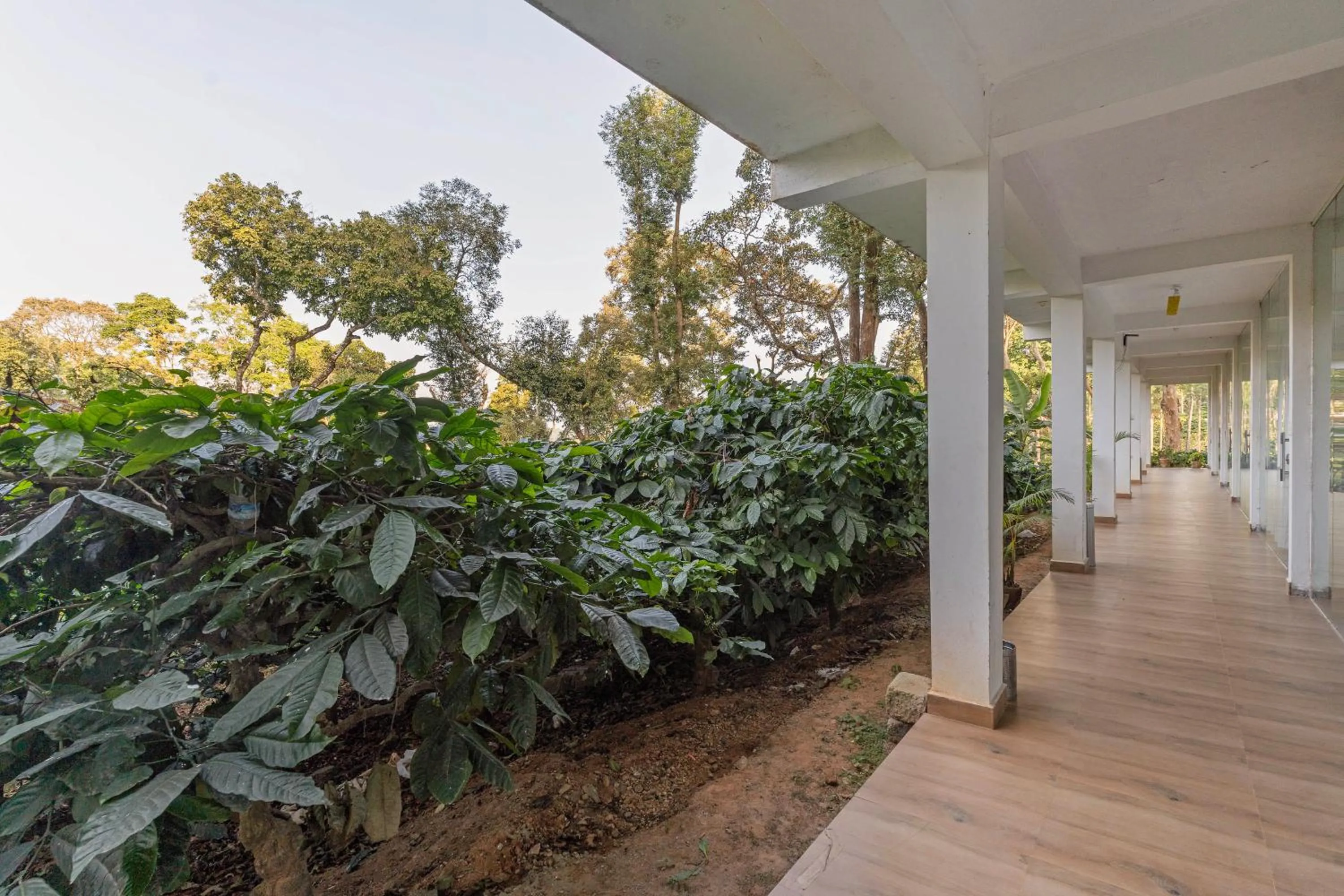 Garden view in Itsy Hotels Jammabane Cottage, 5 Minutes To Mountain View Coffee Plantation