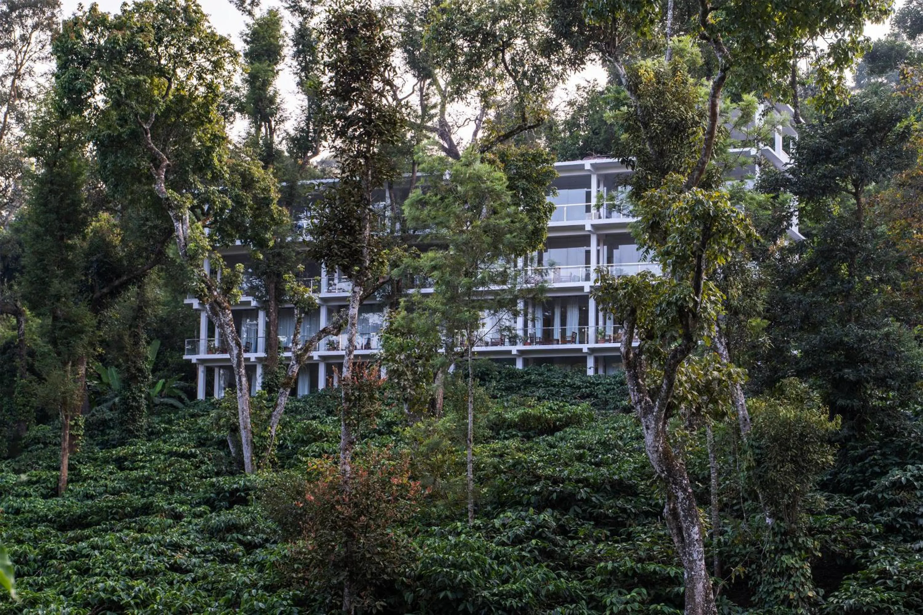 Property building in Itsy Hotels Jammabane Cottage, 5 Minutes To Mountain View Coffee Plantation