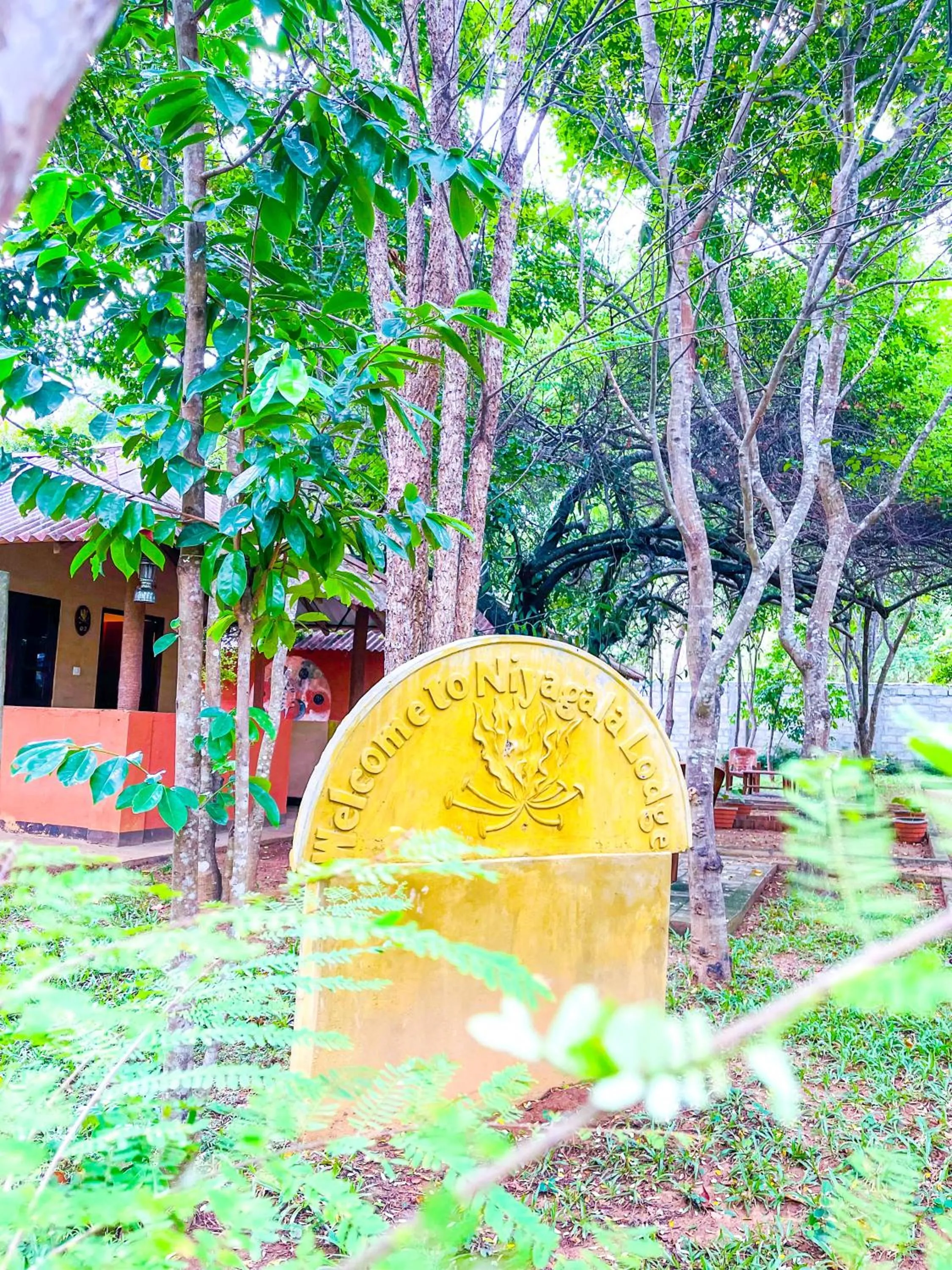 Spring in Hotel Niyagala Lodge Sigiriya