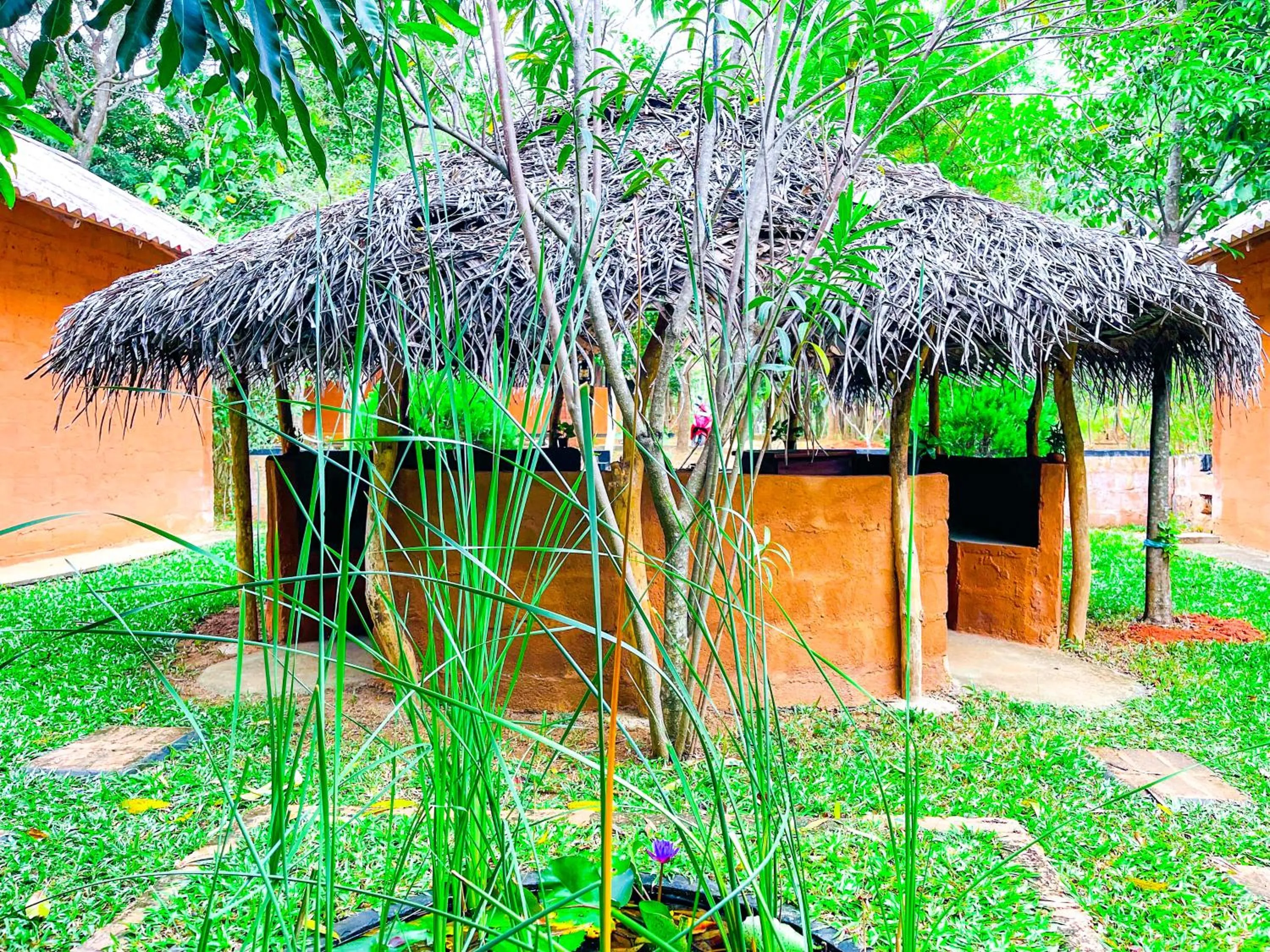 Property building in Hotel Niyagala Lodge Sigiriya