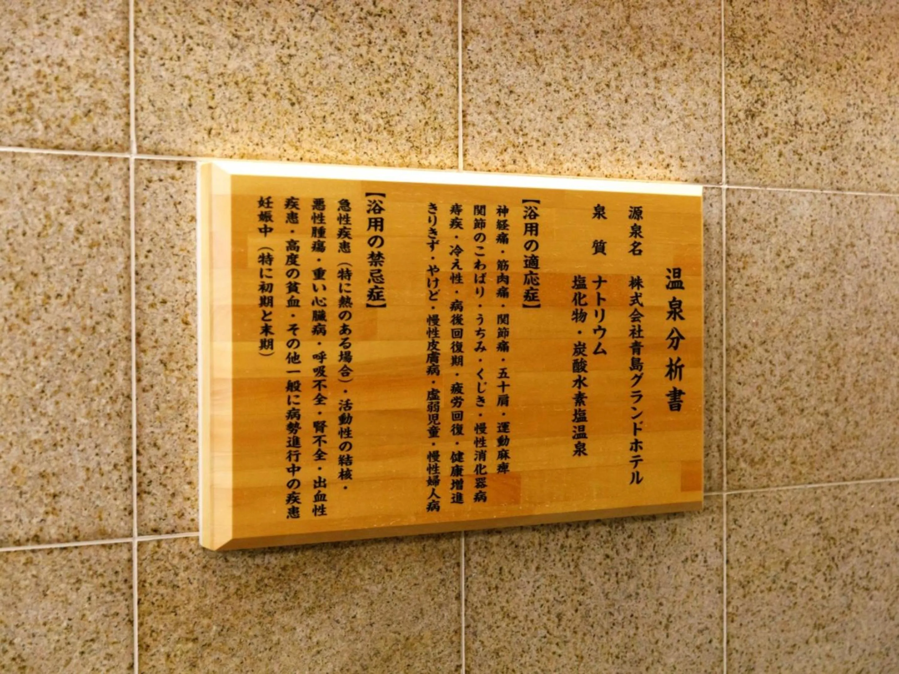 Hot Spring Bath in Miyazaki Lions Hotel