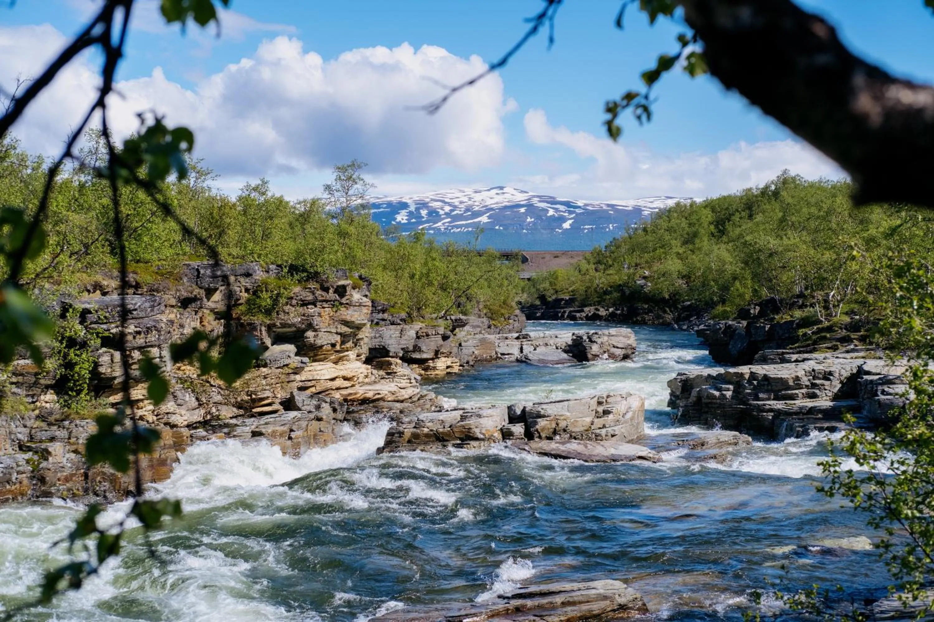 Natural landscape in Abisko Mountain Lodge