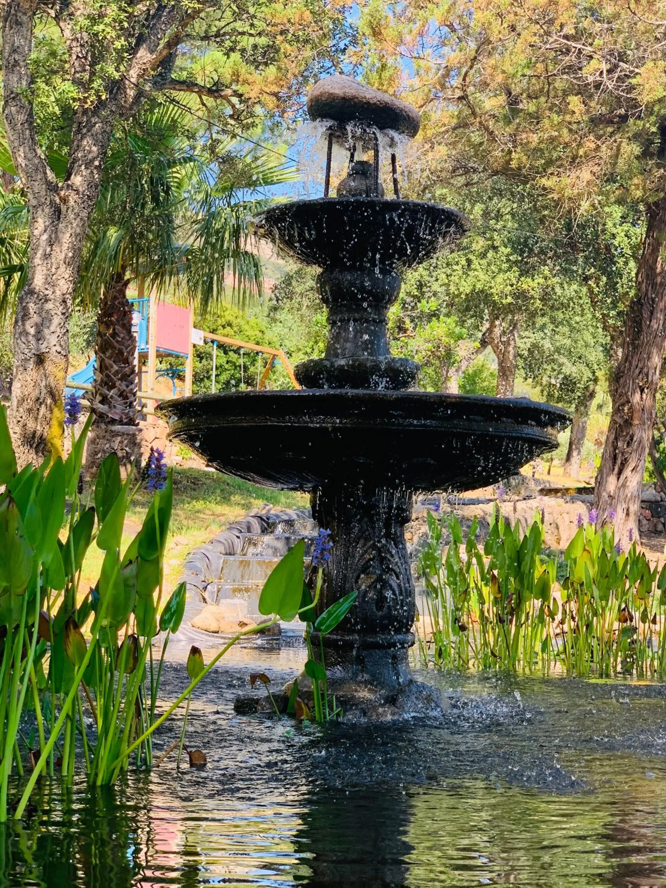 Natural landscape in Résidence U Pirellu