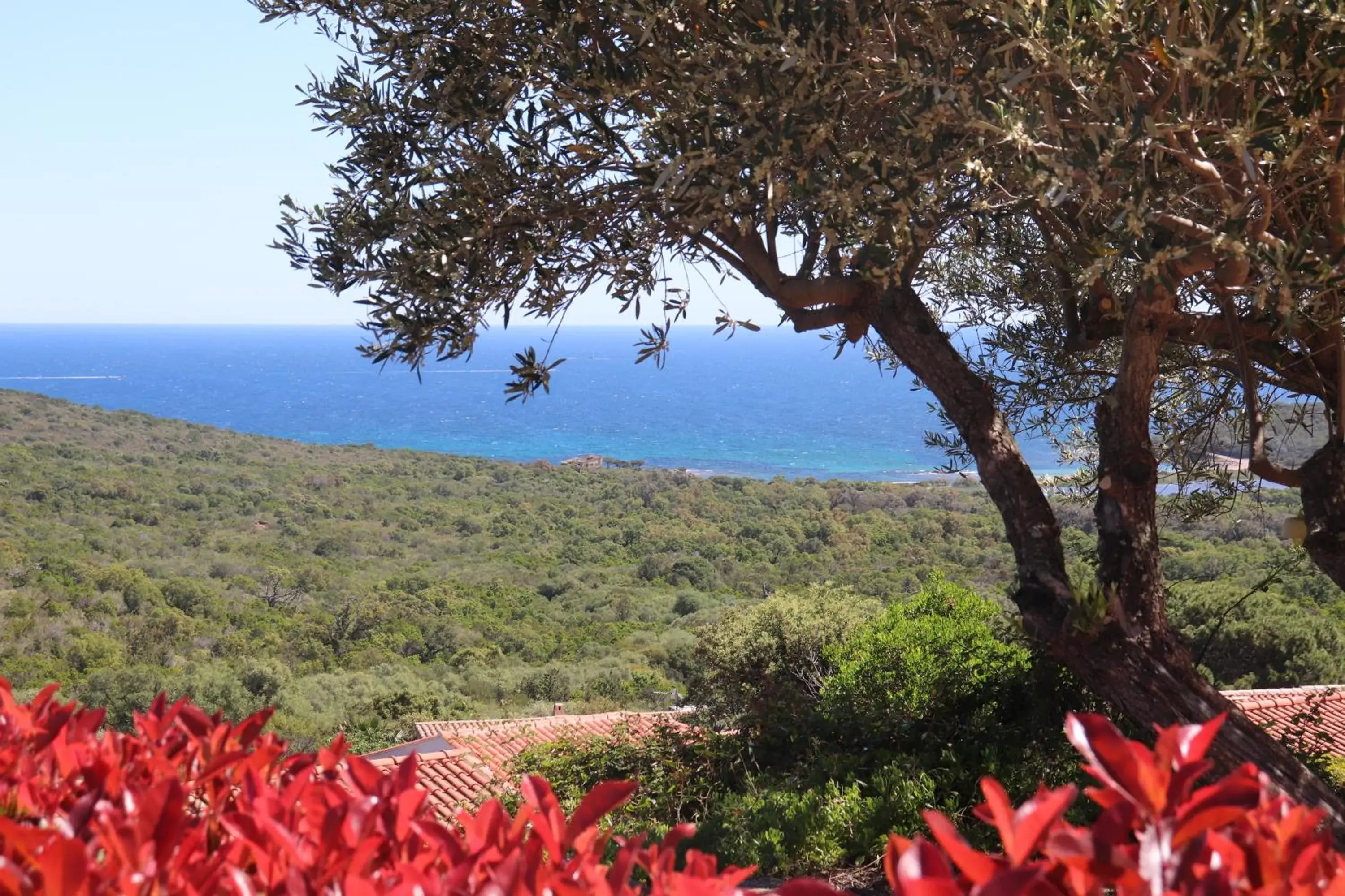 Apartamento (4-6 adultos) in Résidence U Pirellu Apartamento (4-6 adultos) in Résidence U Pirellu