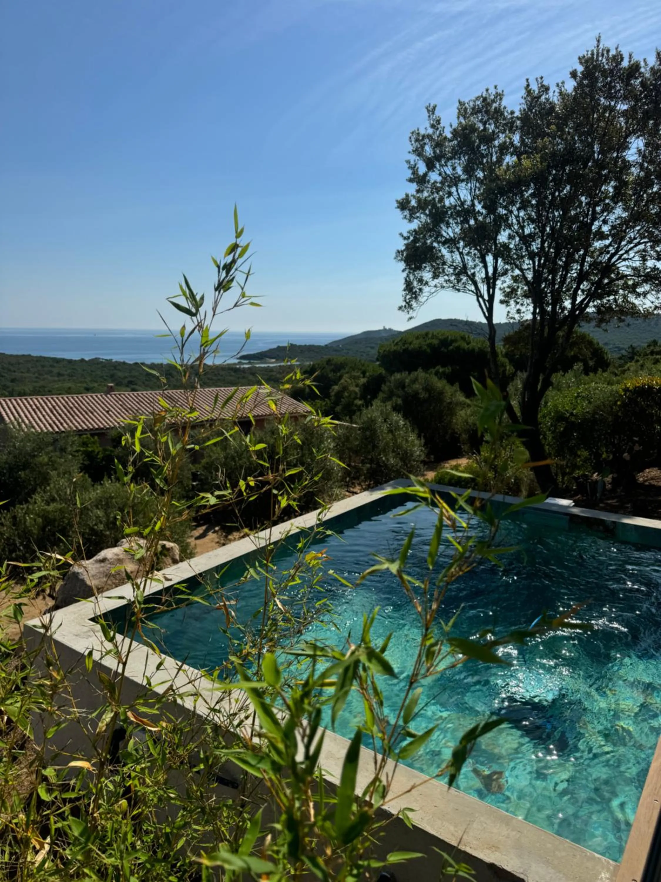 Natural landscape in Résidence U Pirellu