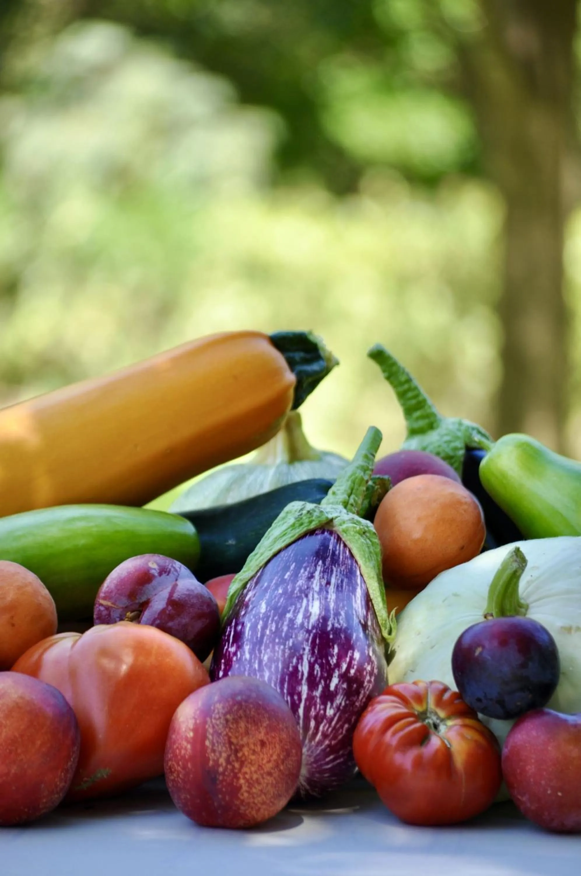 Restaurant/places to eat in Domaine De Blancardy