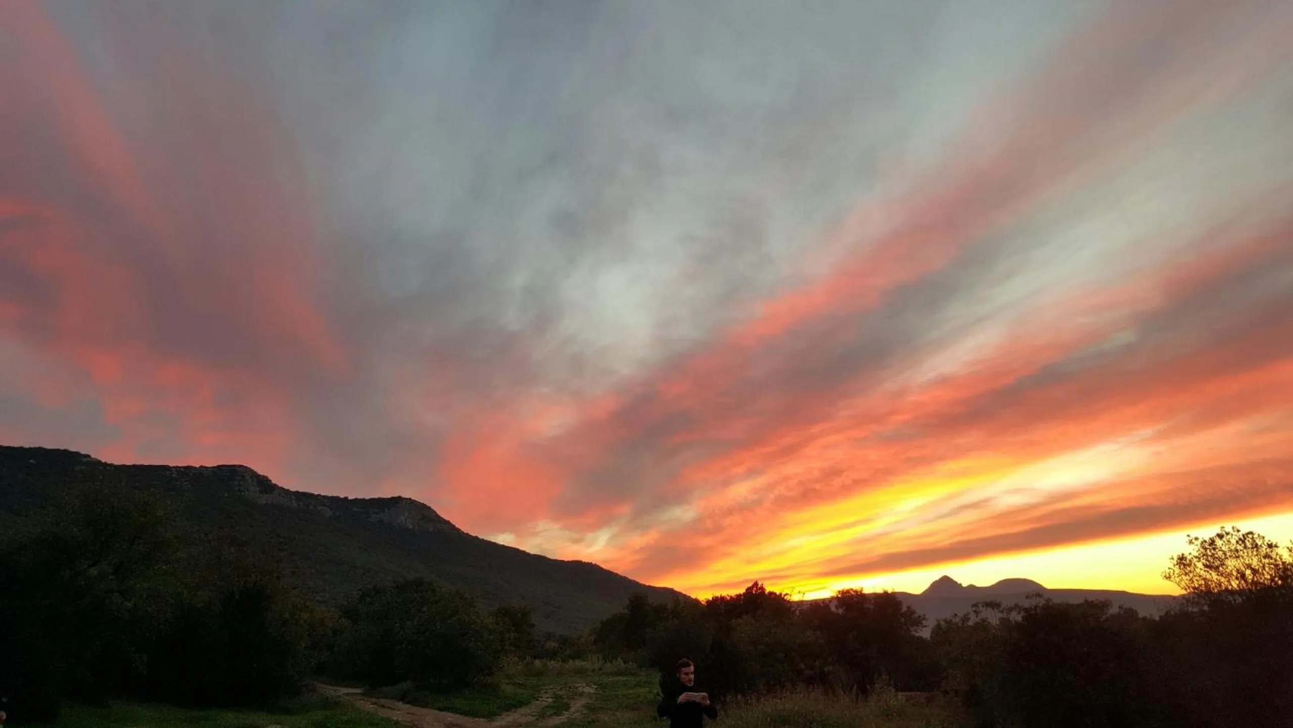 Domaine De Blancardy