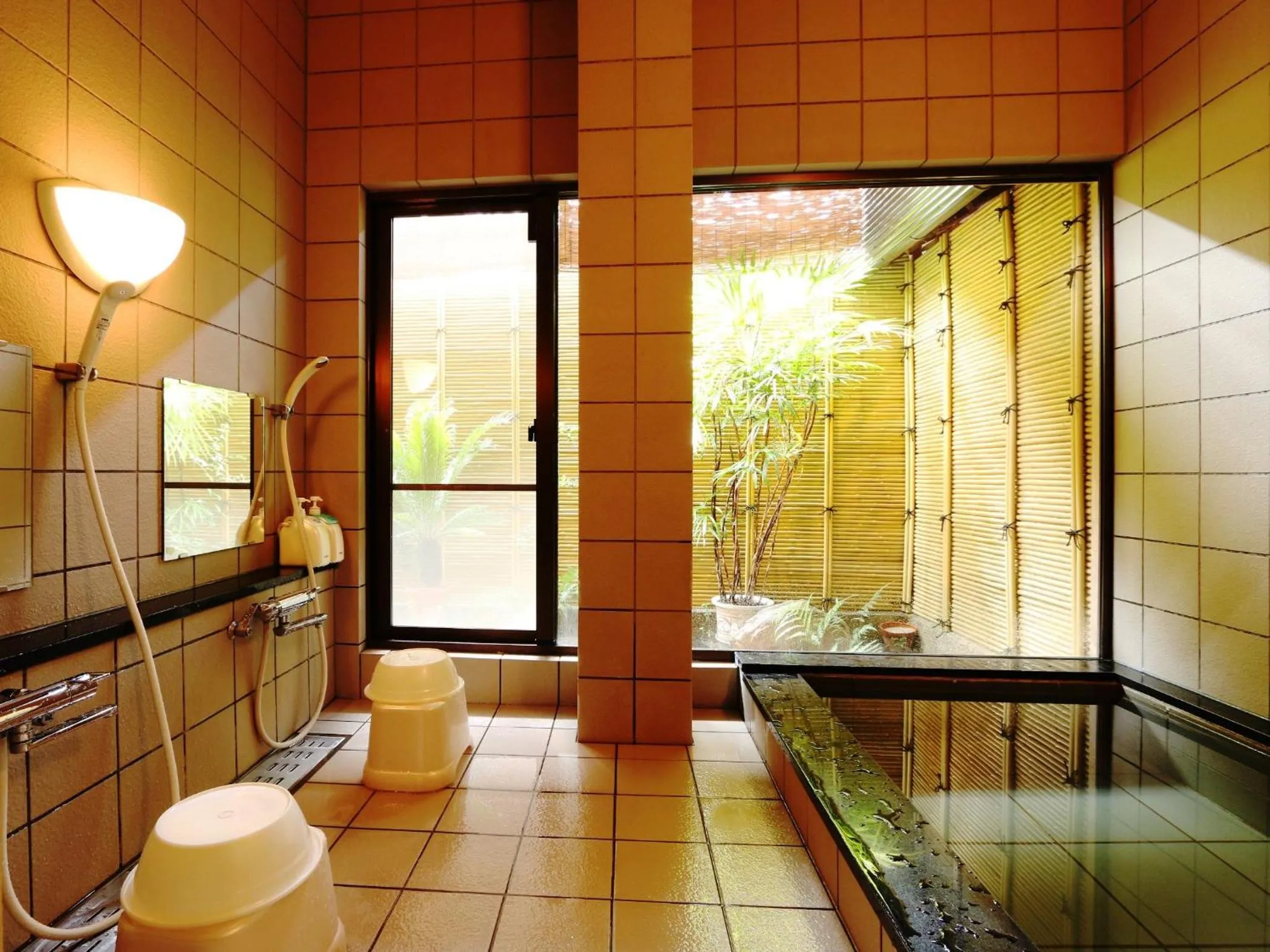 Public Bath in Marumo Ryokan