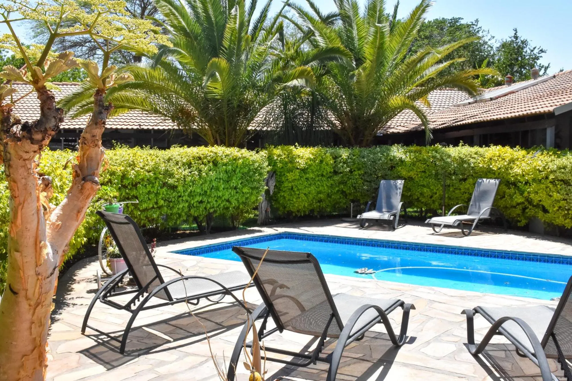 Swimming pool in Kamaku Guesthouse cc