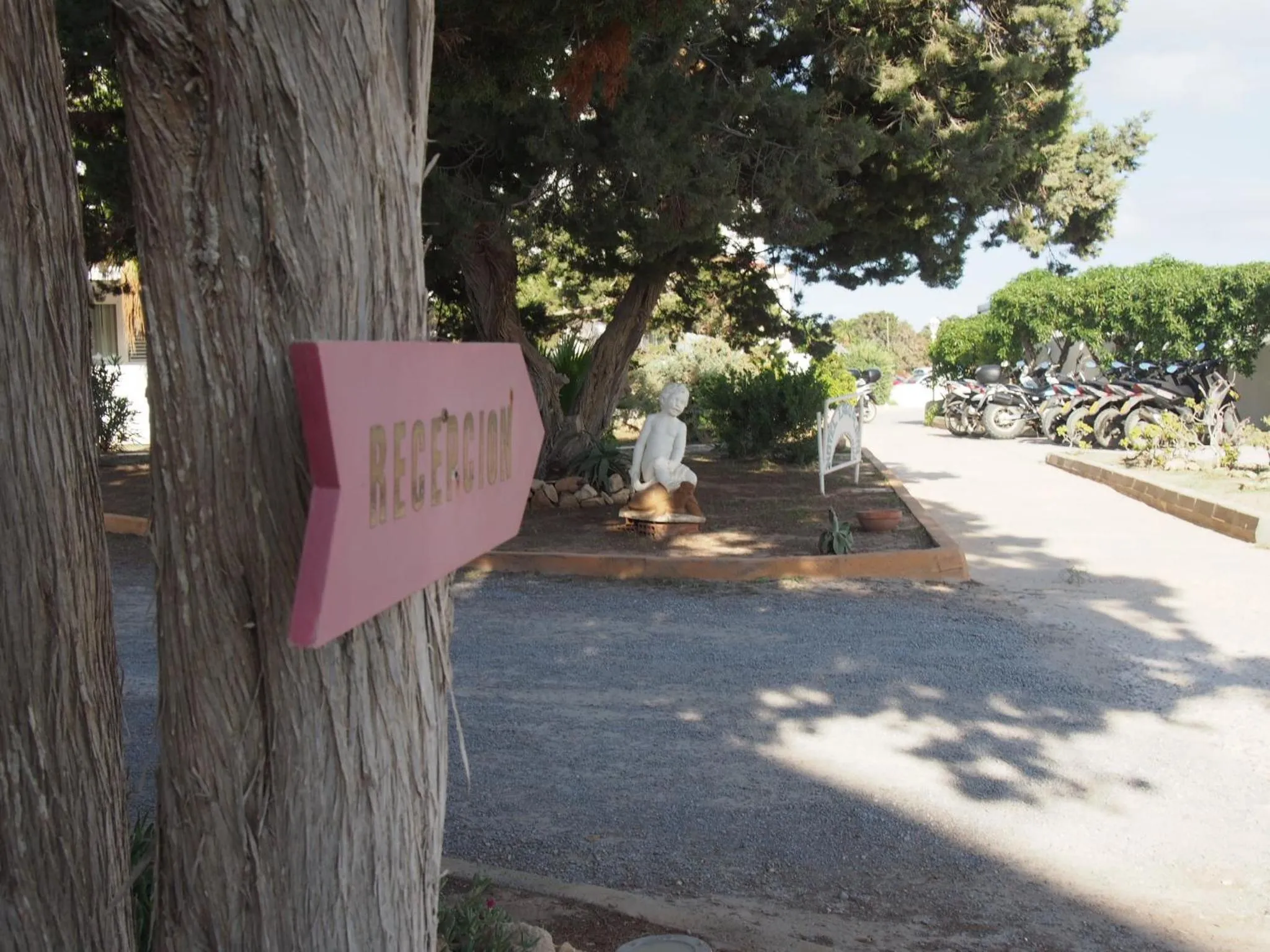 Garden in Lago Playa