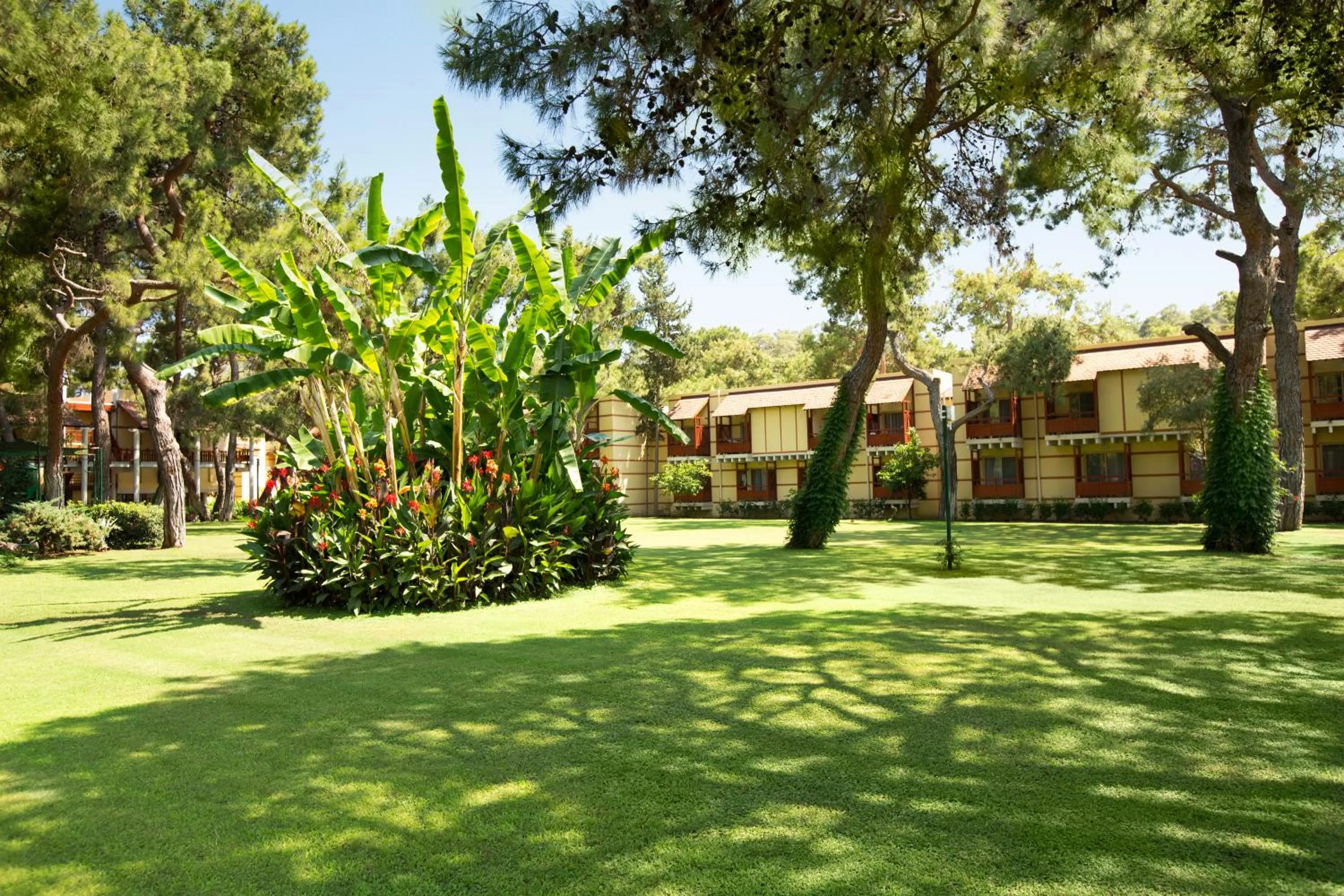 Garden in ROBINSON CAMYUVA - Adults only