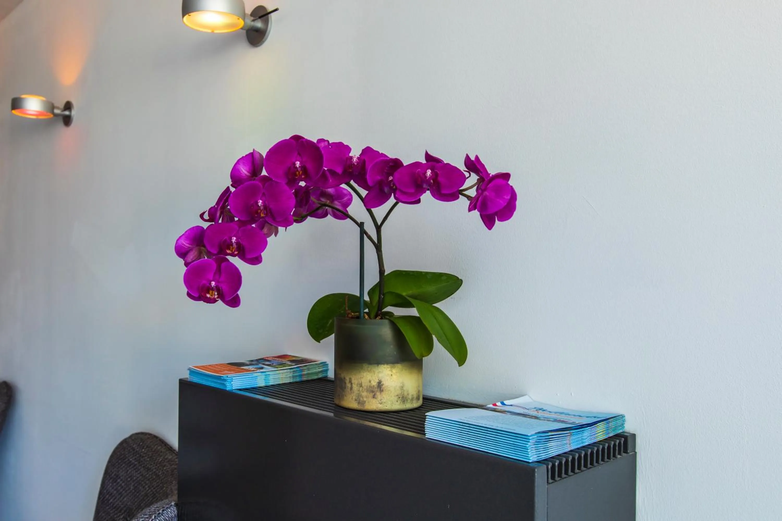 Decorative detail in Hotel La Rosa Amsterdam Beach