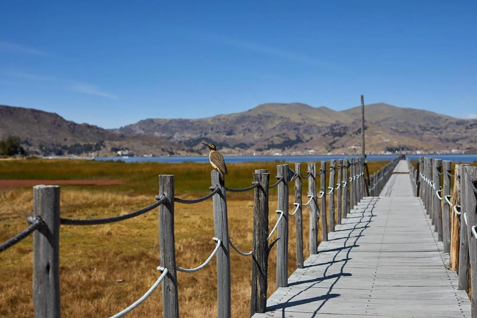 View (from property/room) in Casa Andina Premium Puno