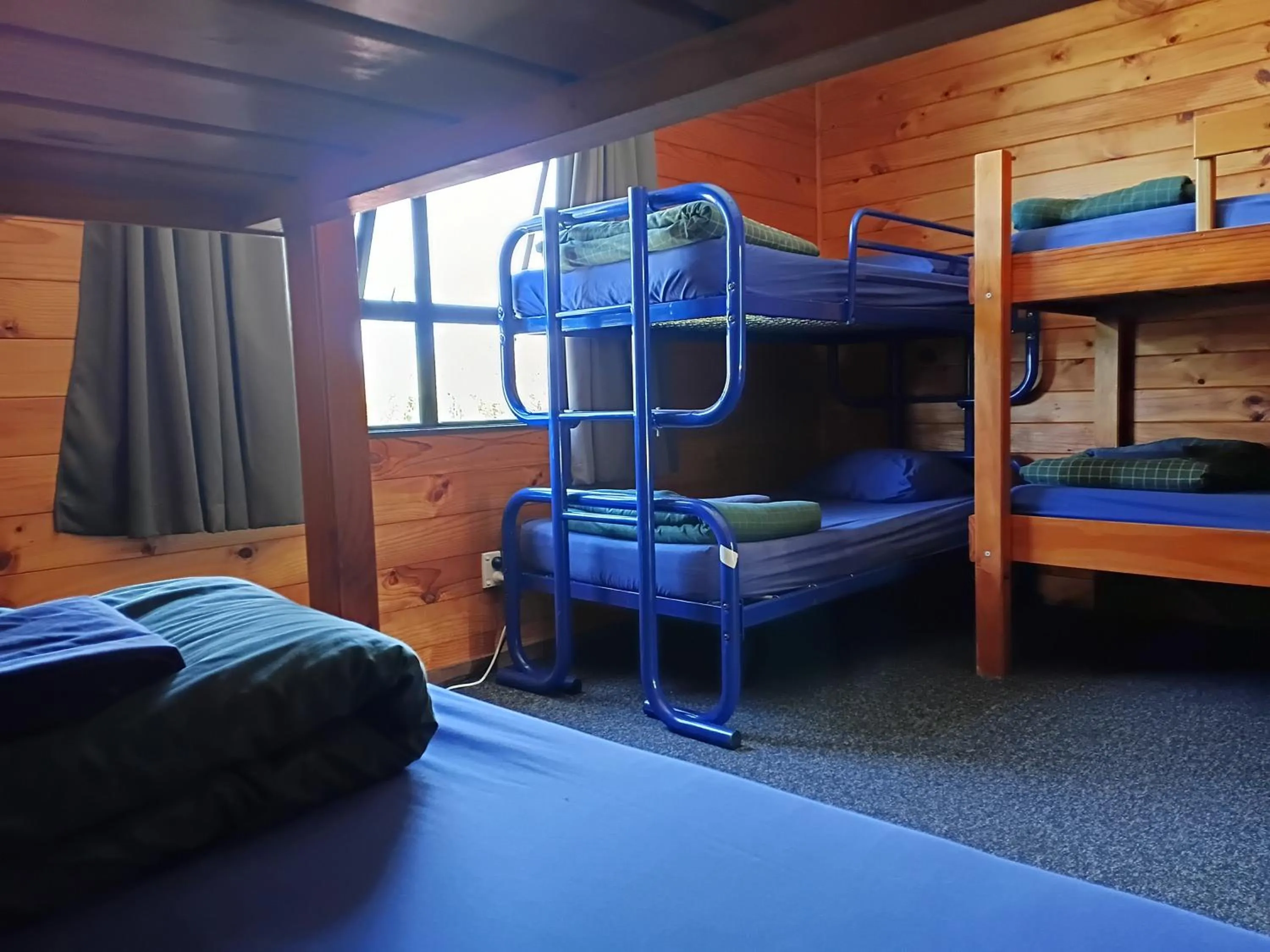 Photo of the whole room, Bed in JunoHall Backpackers