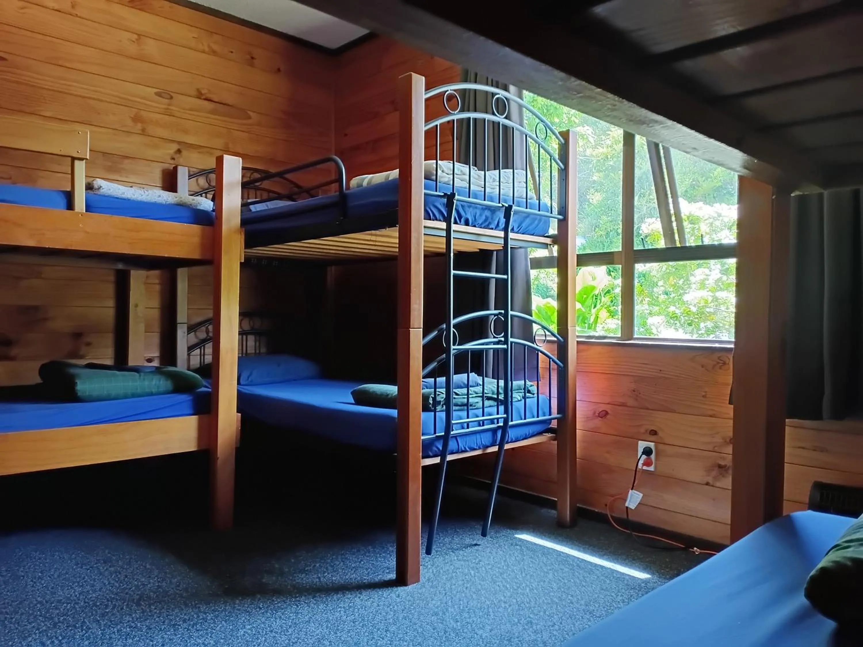 Photo of the whole room, Bed in JunoHall Backpackers